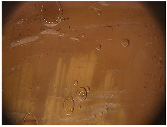 Jof 01 00030 g010 550