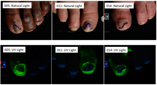 Jof 01 00107 g001 550