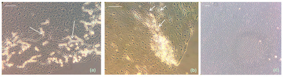 Jof 01 00138 g005 550