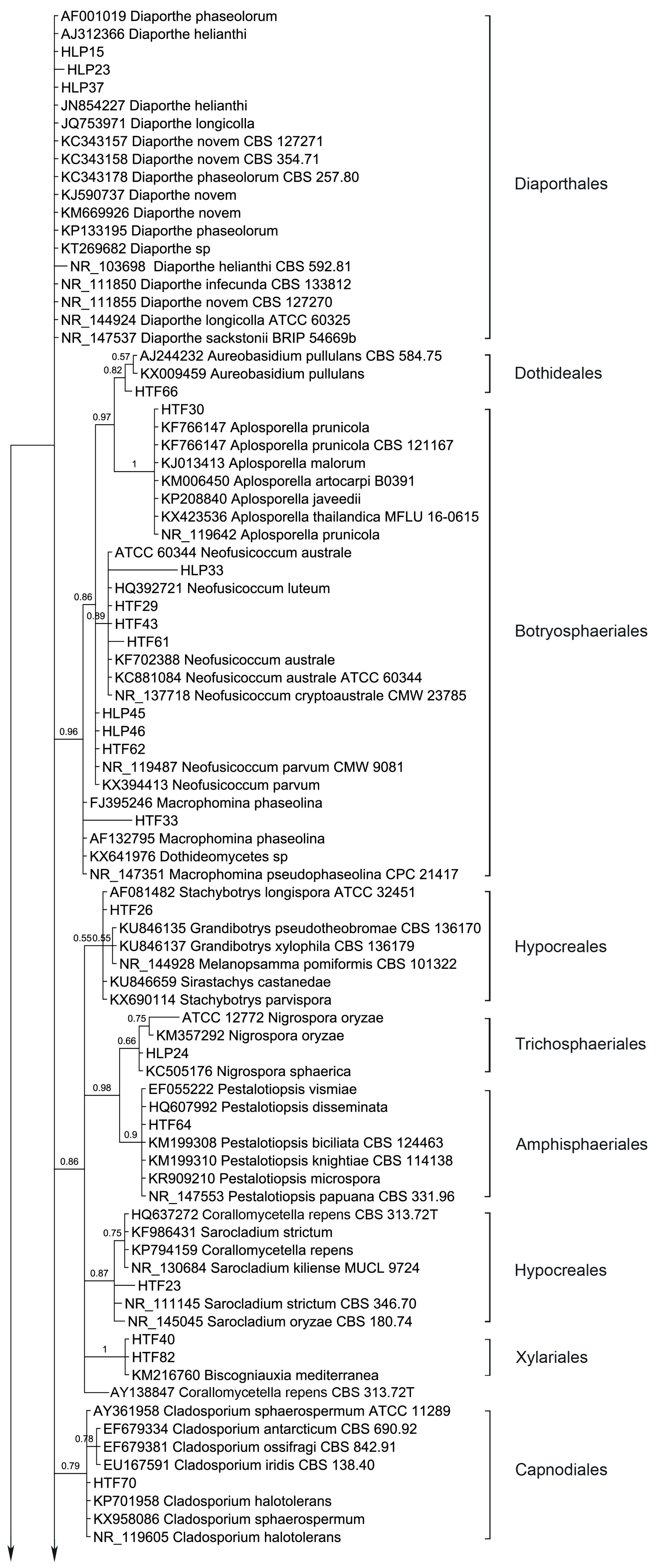Jof 04 00017 g003a Jof 04 00017 g003a