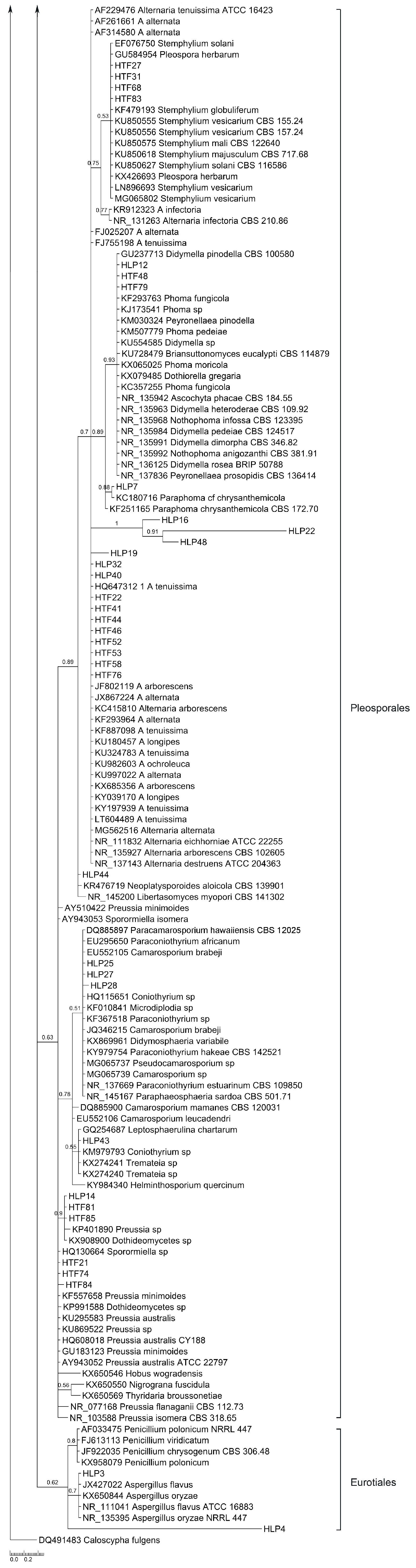 Jof 04 00017 g003b Jof 04 00017 g003b