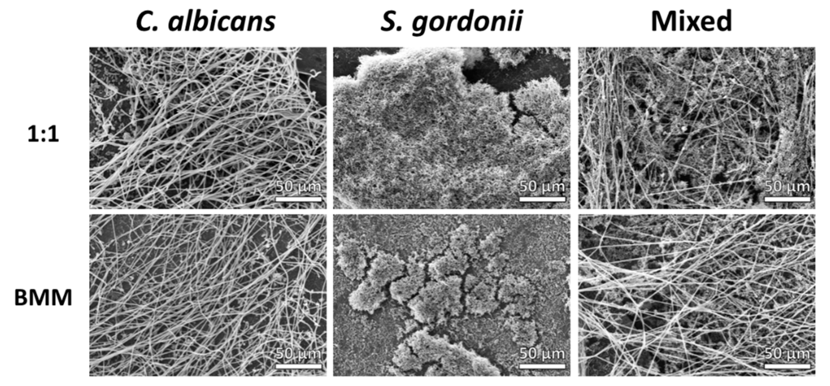 Jof 04 00066 g002 Jof 04 00066 g002