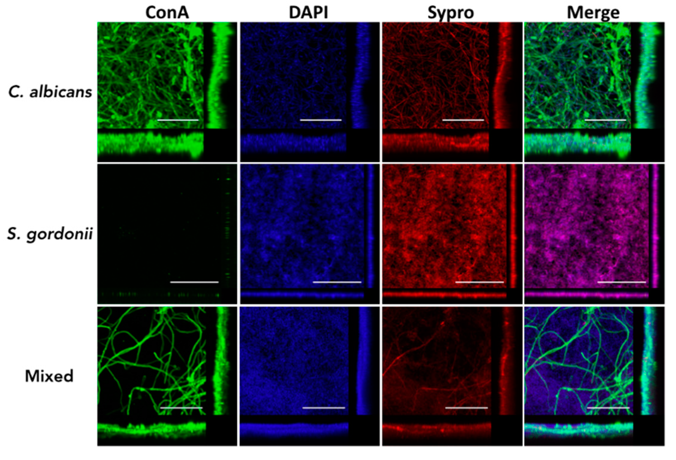 Jof 04 00066 g003 Jof 04 00066 g003