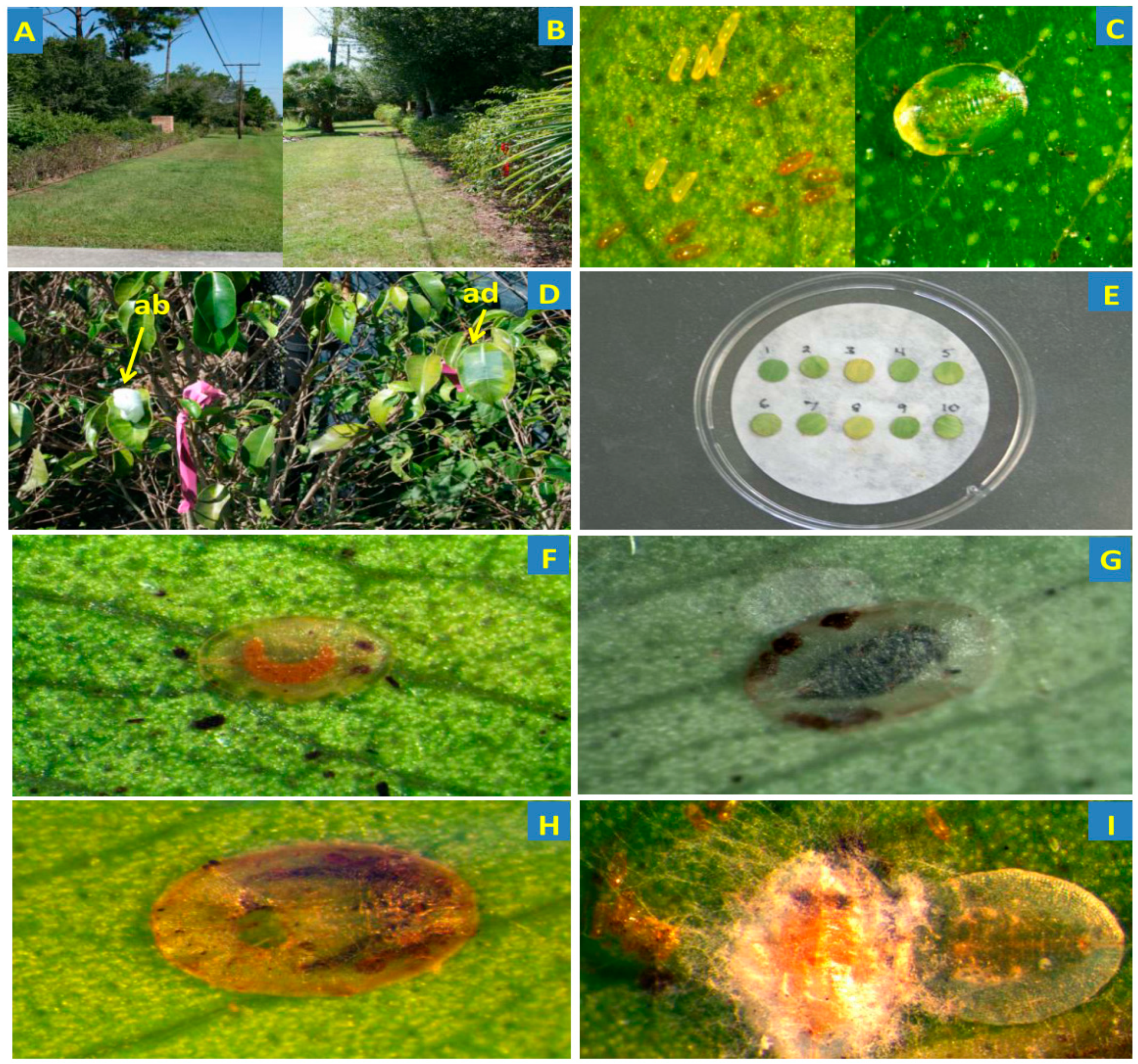 Jof 05 00036 g001 Jof 05 00036 g001