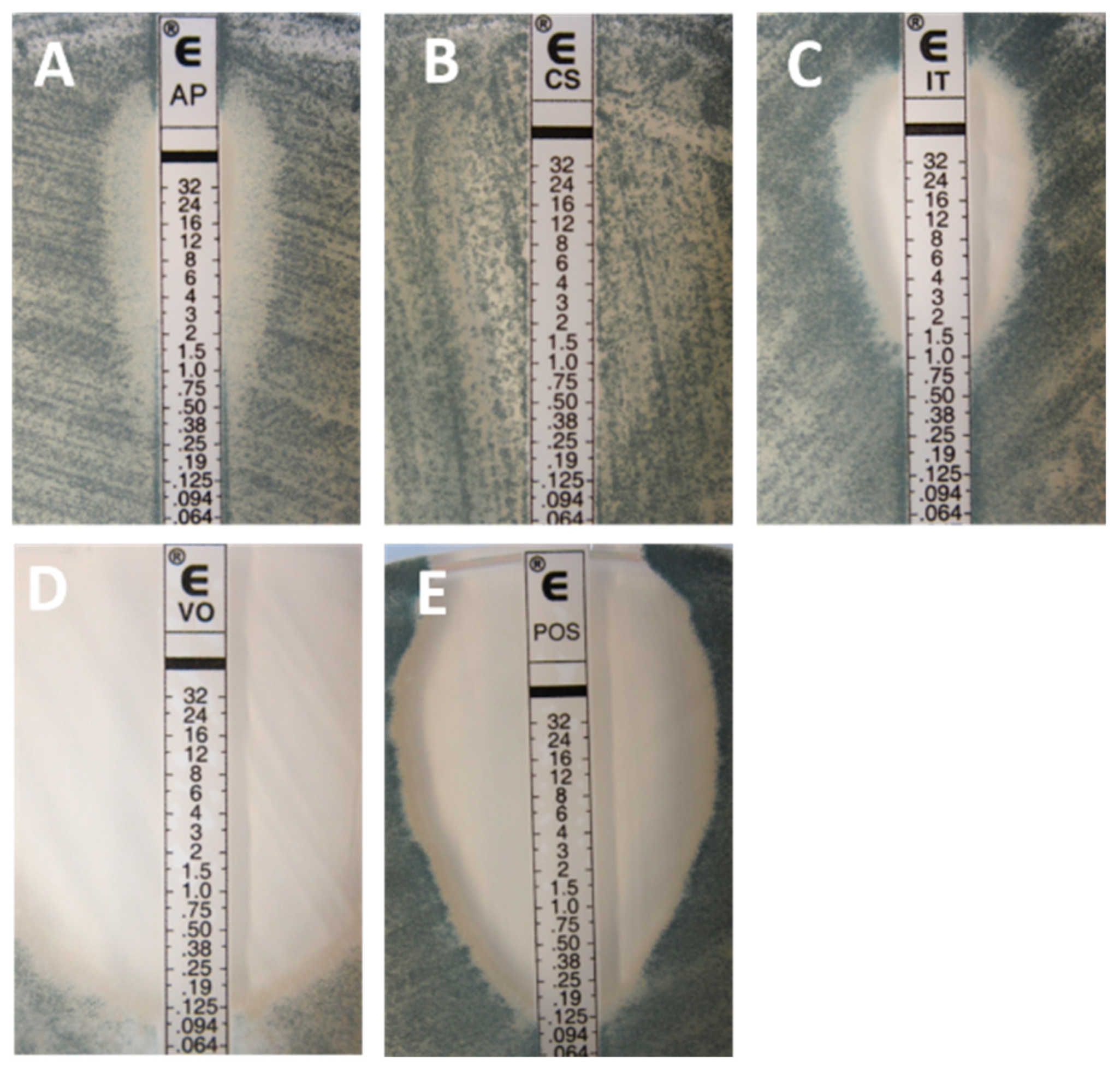 Jof 05 00108 g002 Jof 05 00108 g002