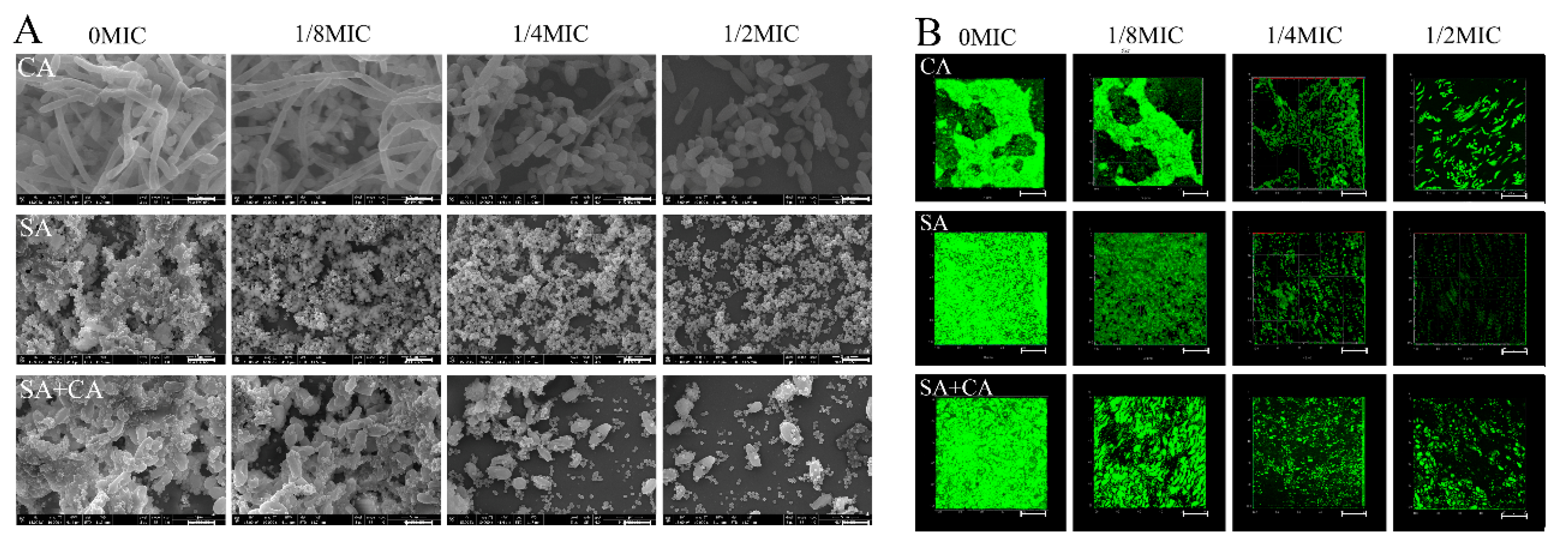 Jof 06 00045 g002 Jof 06 00045 g002