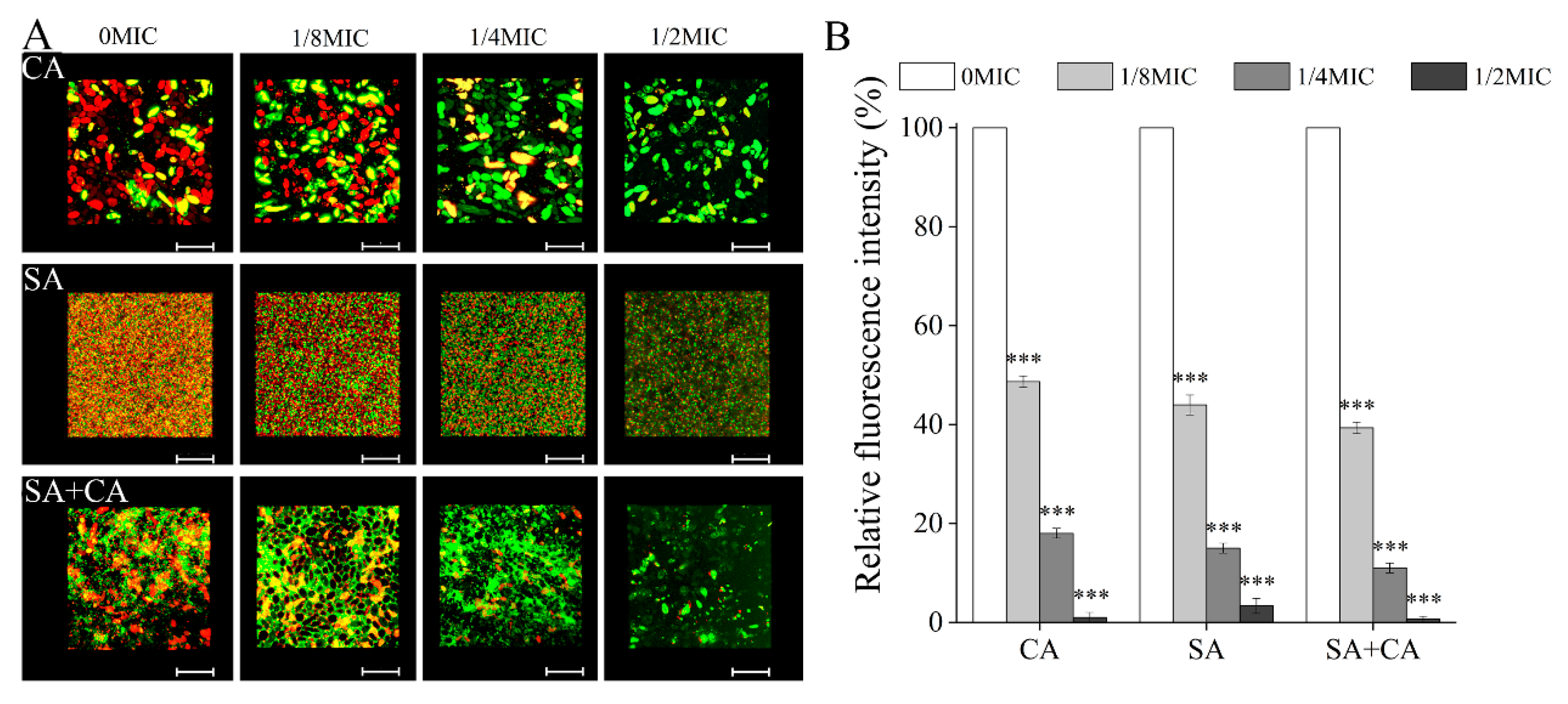 Jof 06 00045 g004 Jof 06 00045 g004