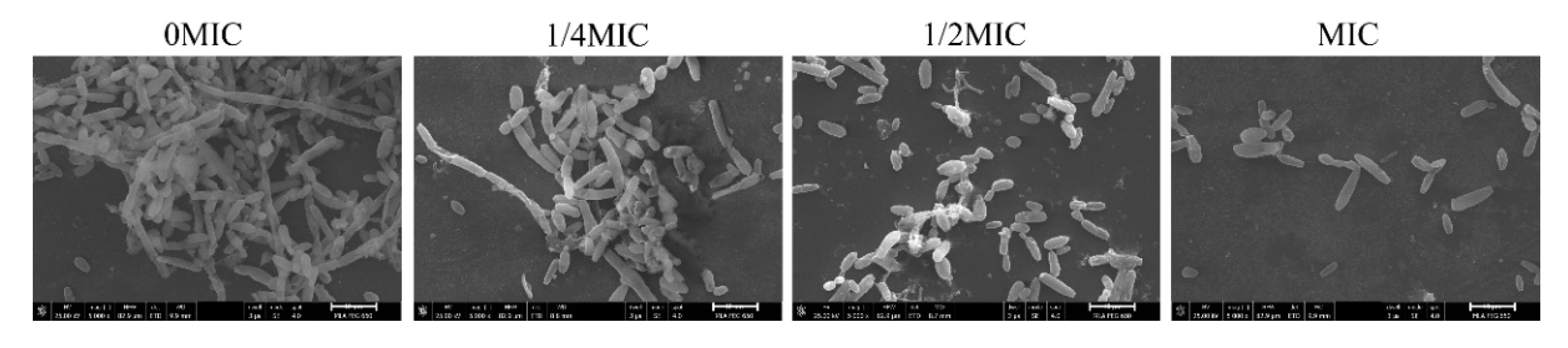 Jof 06 00045 g009 Jof 06 00045 g009