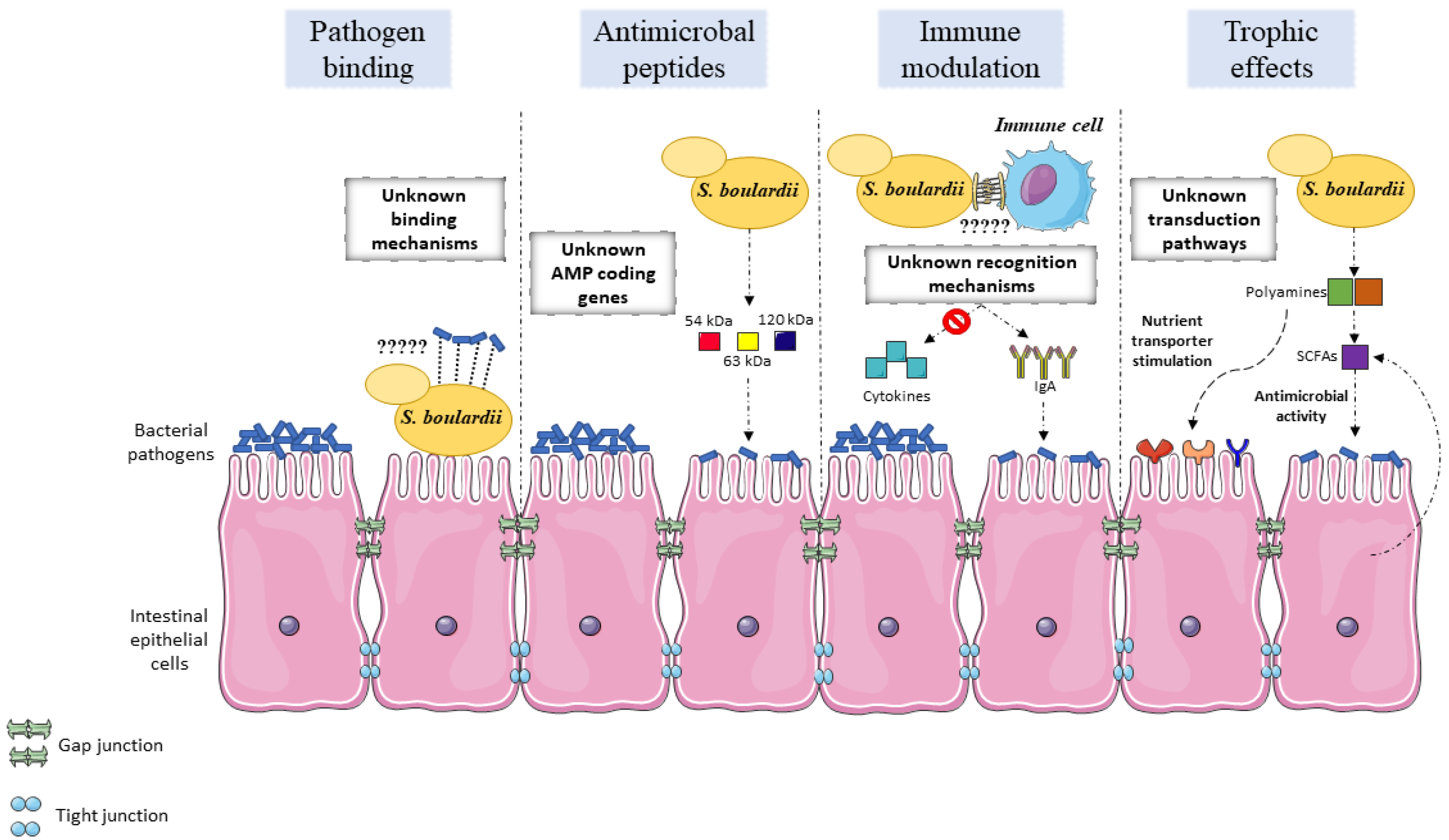 Jof 06 00078 g001 Jof 06 00078 g001