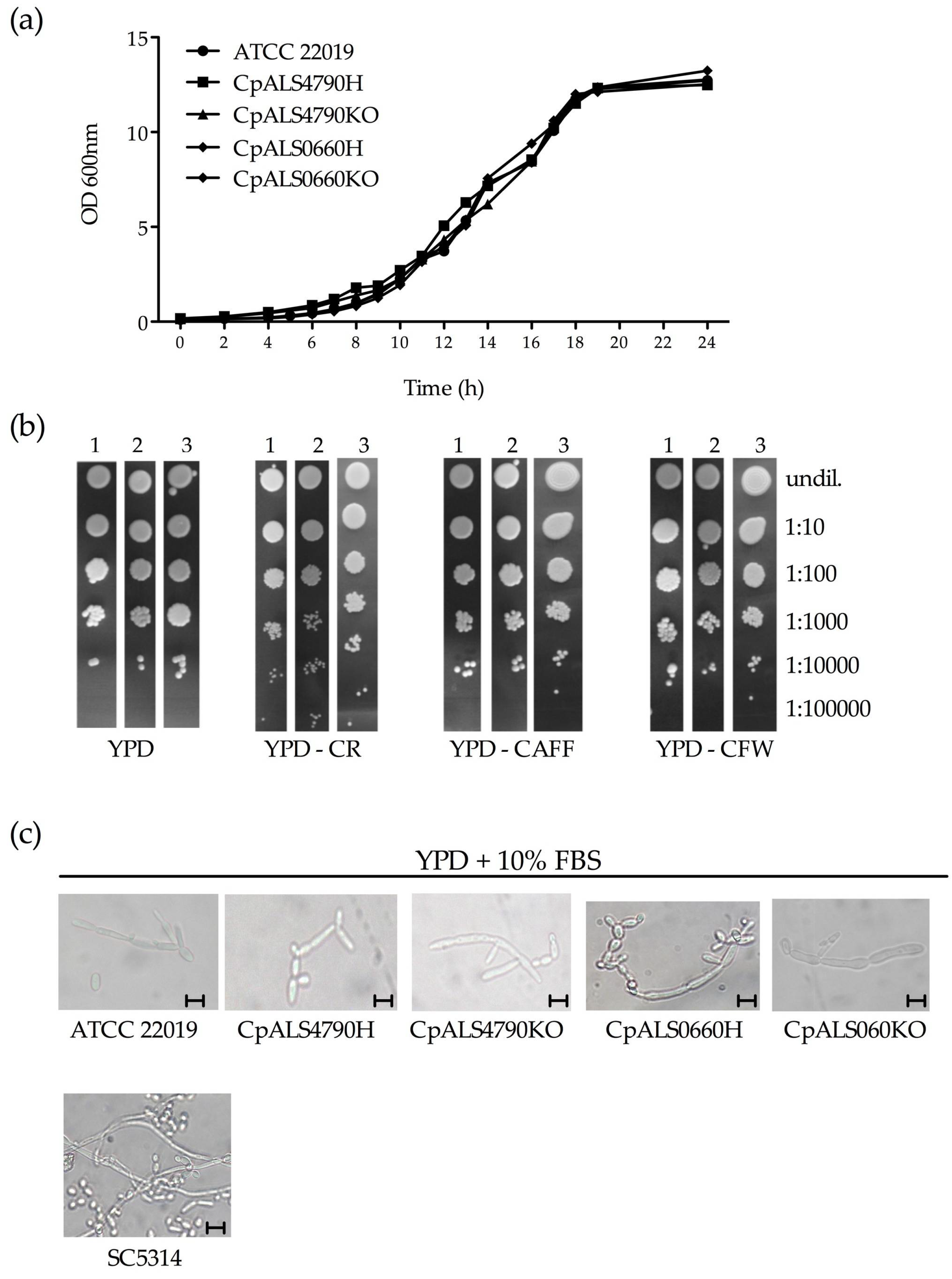 Jof 06 00086 g002 Jof 06 00086 g002