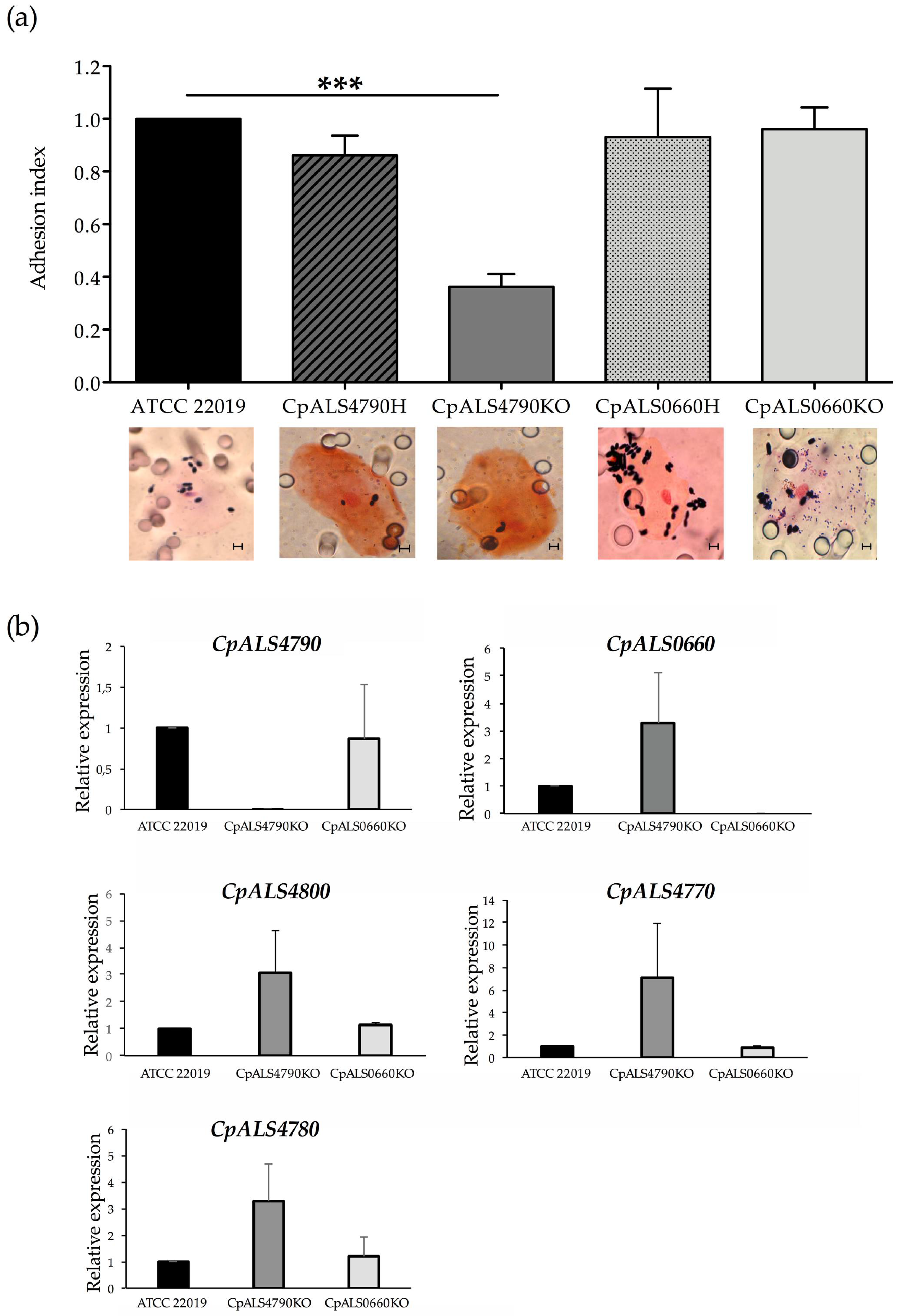 Jof 06 00086 g003 Jof 06 00086 g003