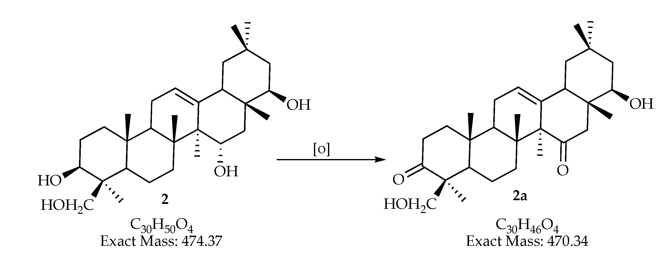 Jof 06 00140 g004a Jof 06 00140 g004a
