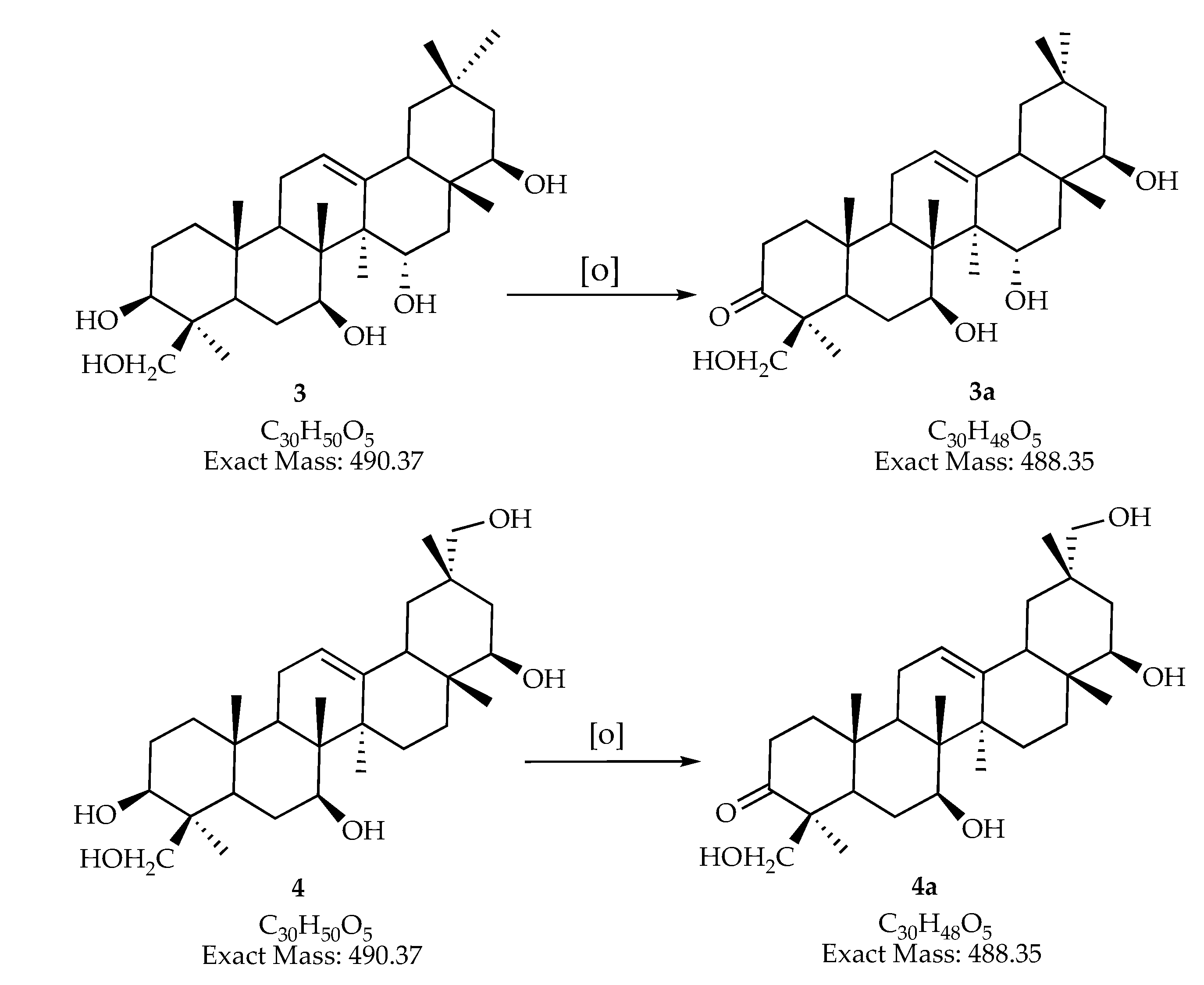 Jof 06 00140 g004b Jof 06 00140 g004b