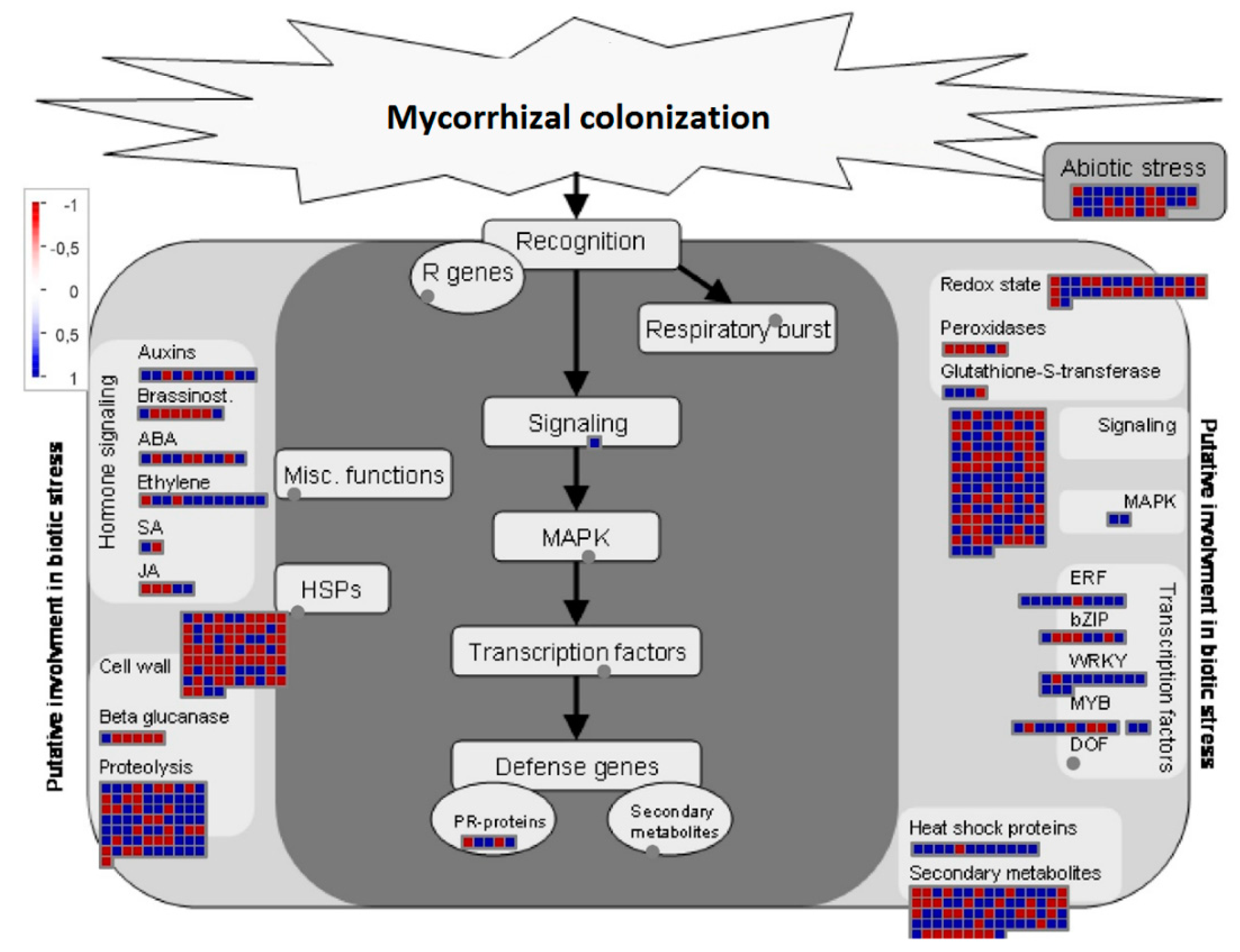 Jof 06 00148 g006 Jof 06 00148 g006