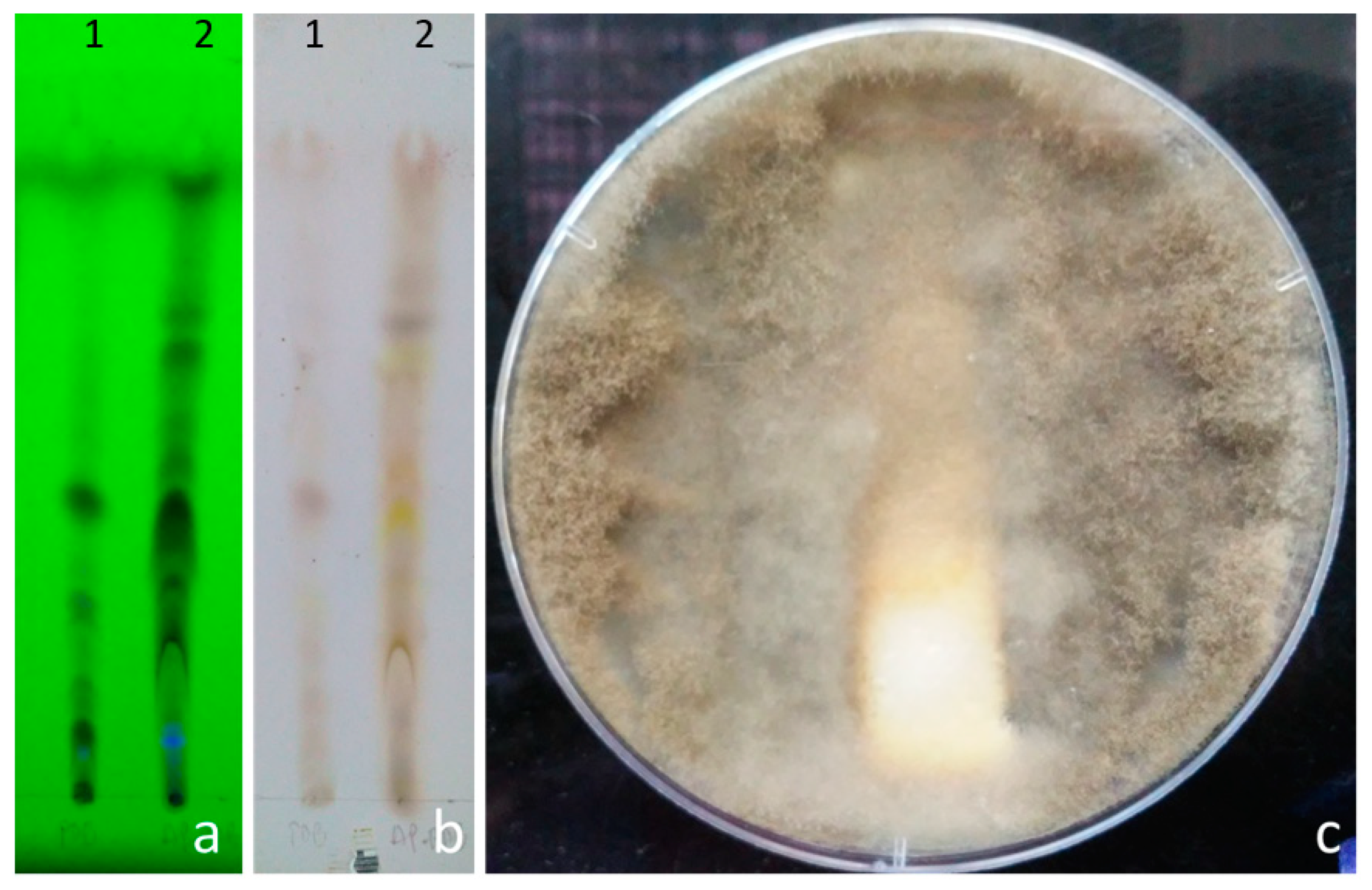 Jof 06 00149 g003 Jof 06 00149 g003