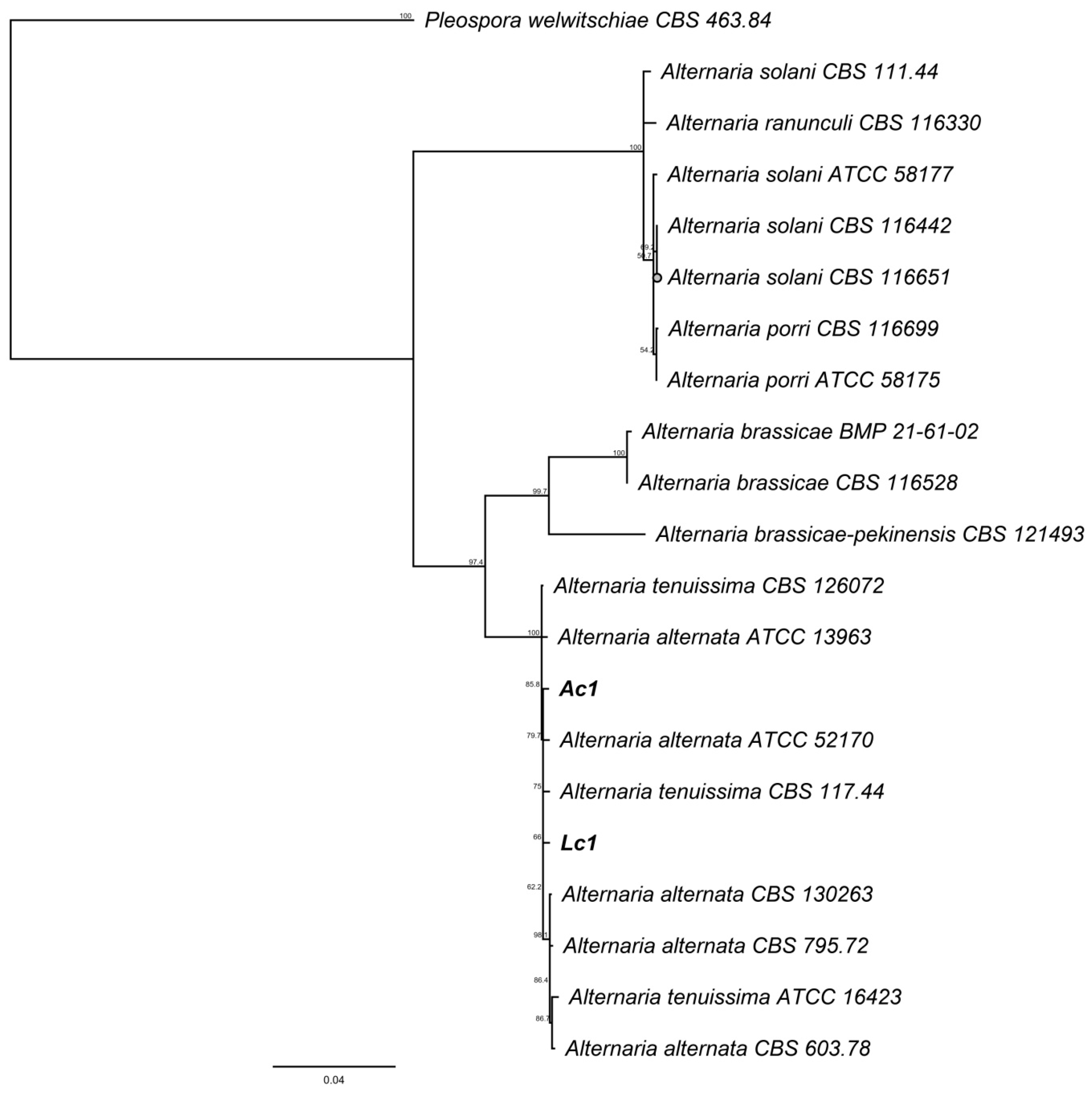 Jof 06 00149 g005 Jof 06 00149 g005