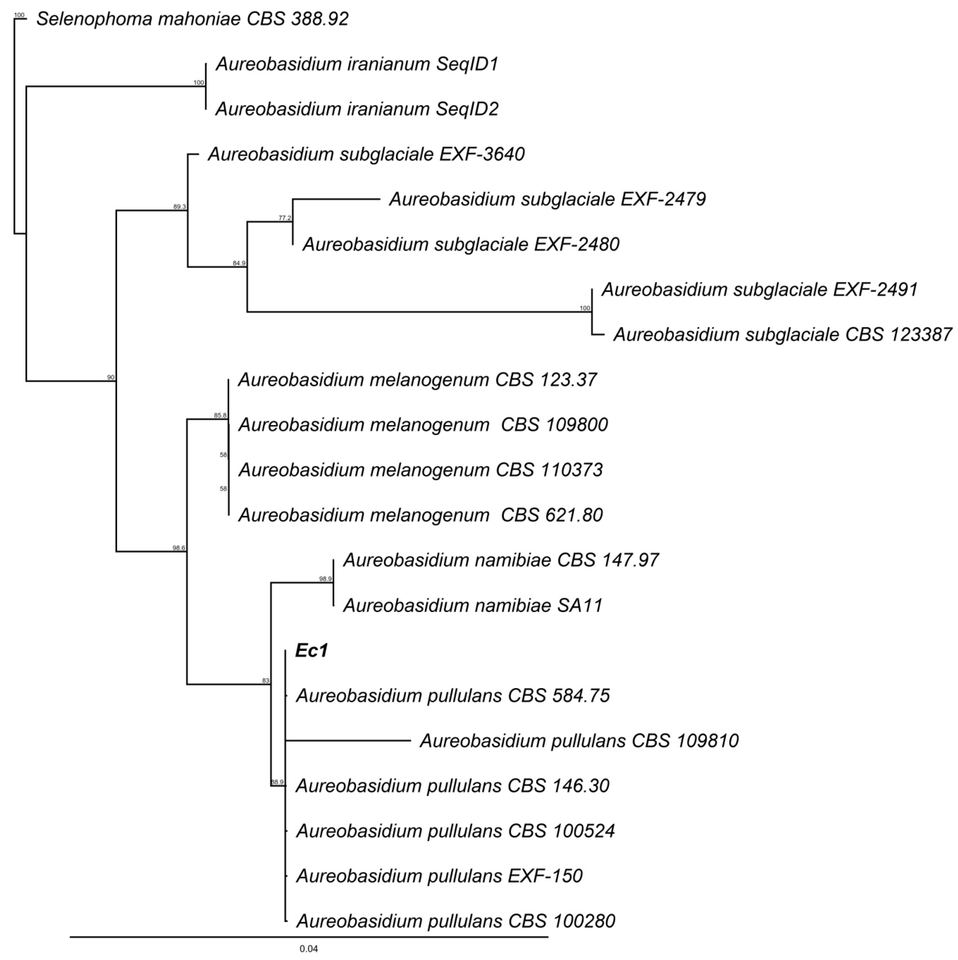 Jof 06 00149 g006 Jof 06 00149 g006
