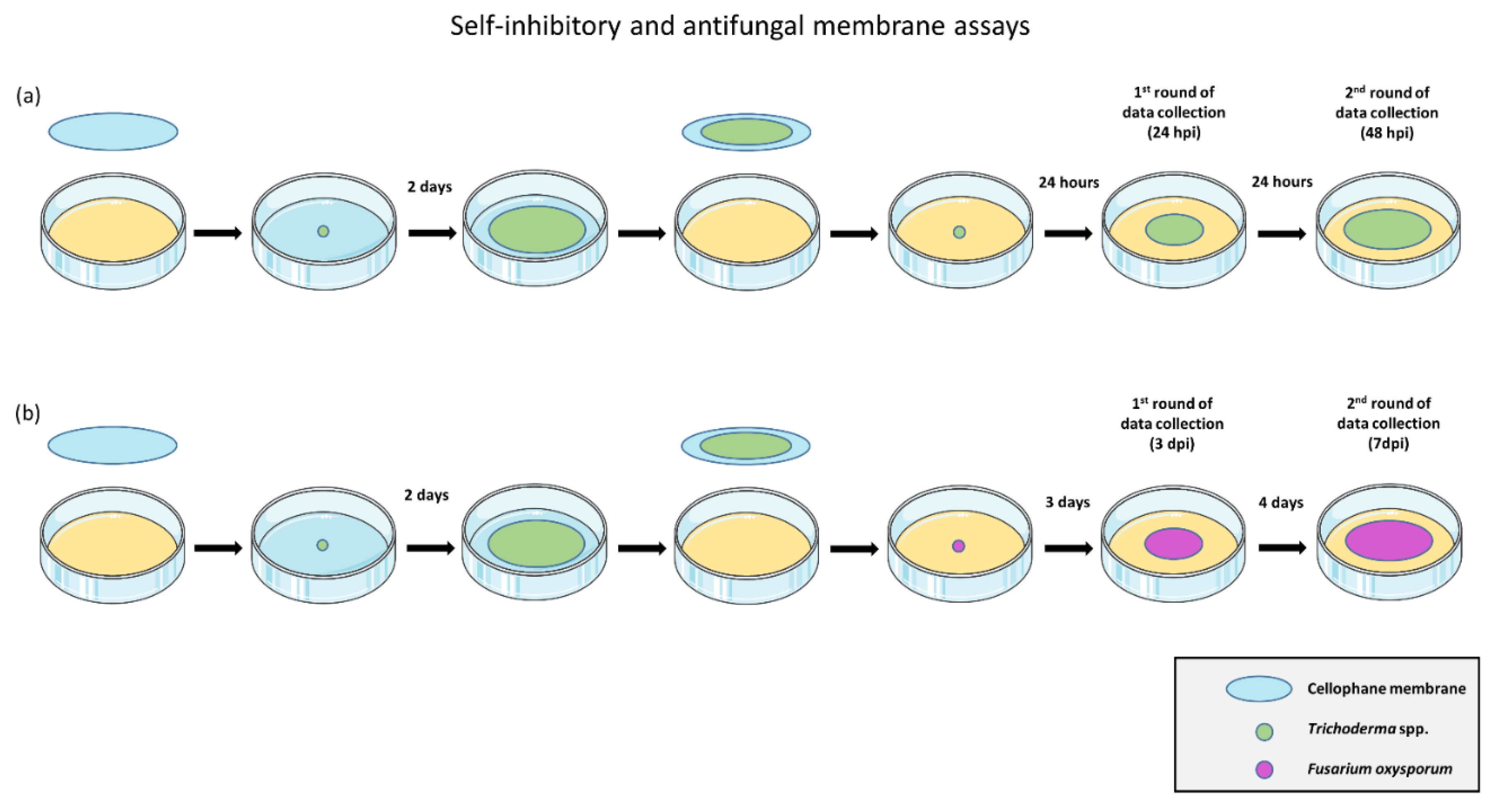 Jof 06 00176 g001 Jof 06 00176 g001