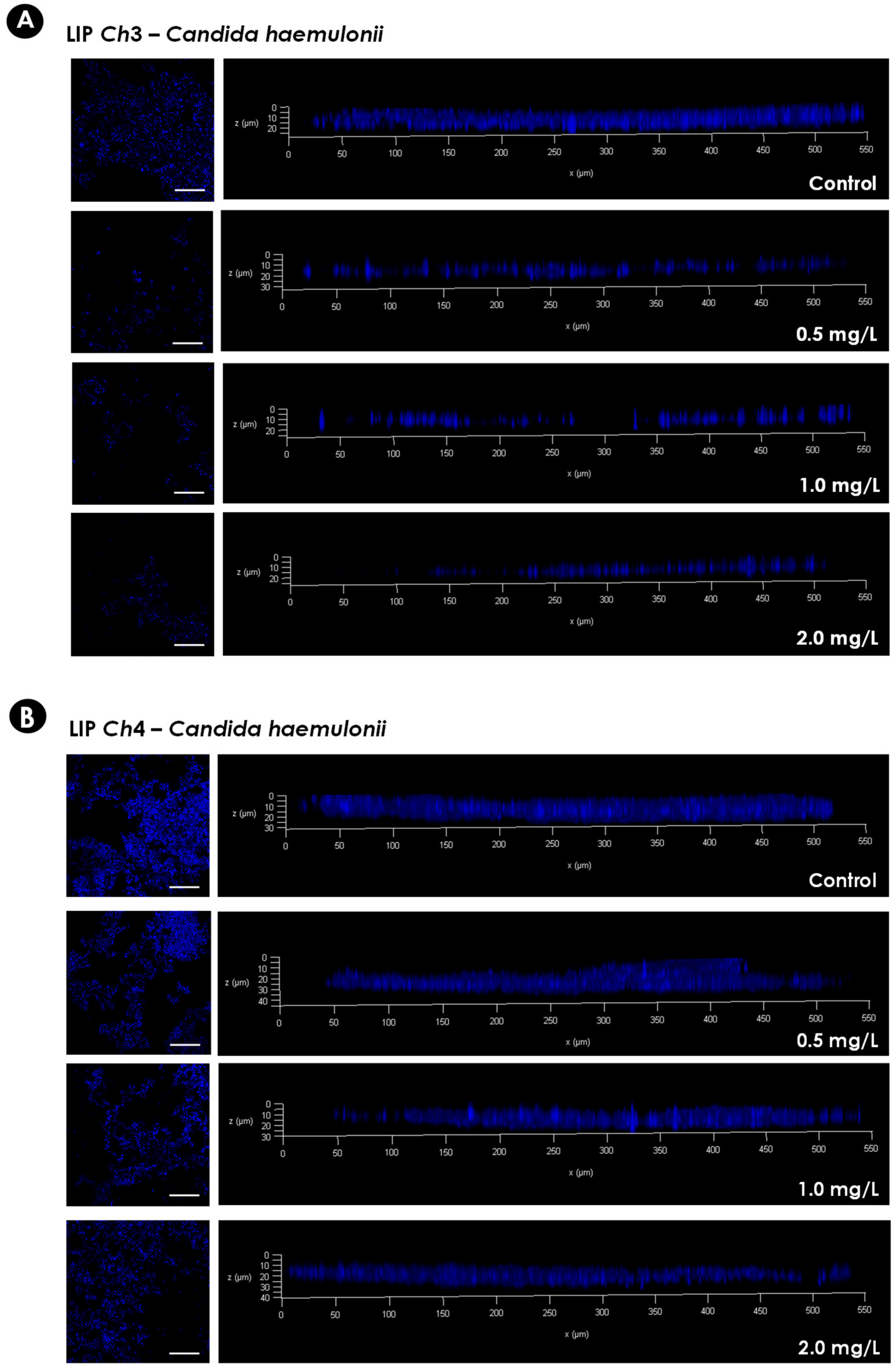 Jof 06 00201 g003 Jof 06 00201 g003