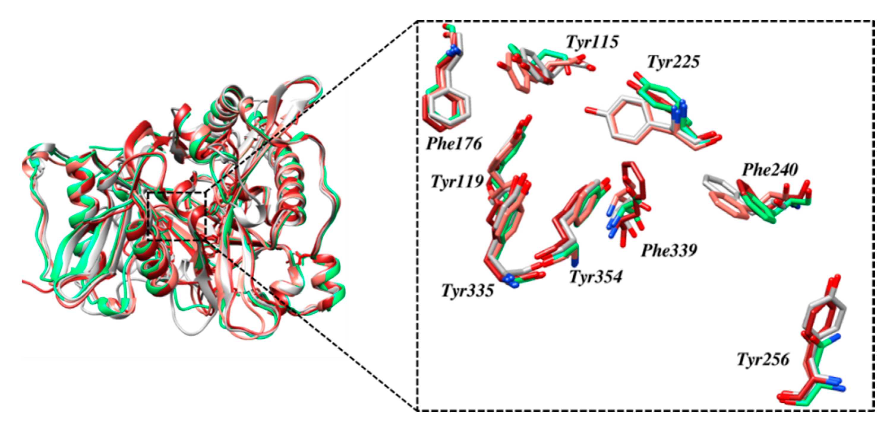 Jof 06 00237 g003 Jof 06 00237 g003
