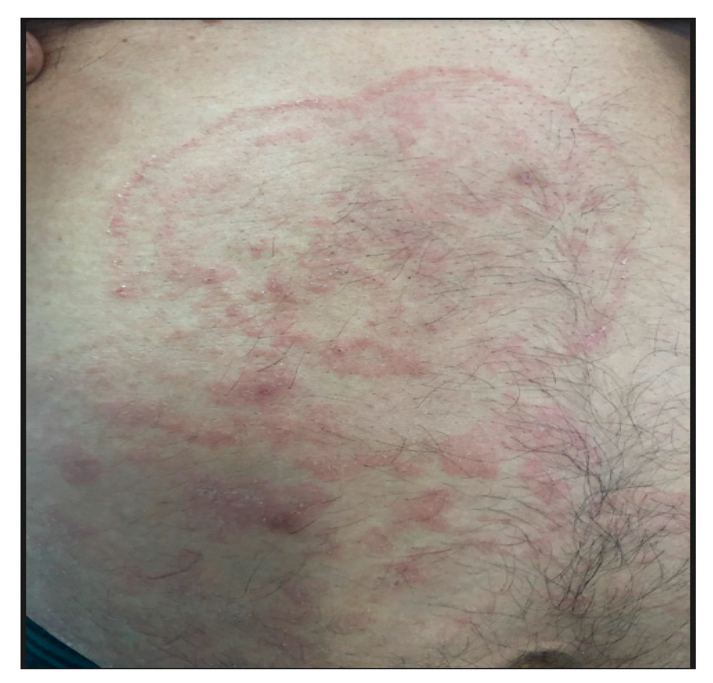 Jof 06 00238 g001 Jof 06 00238 g001