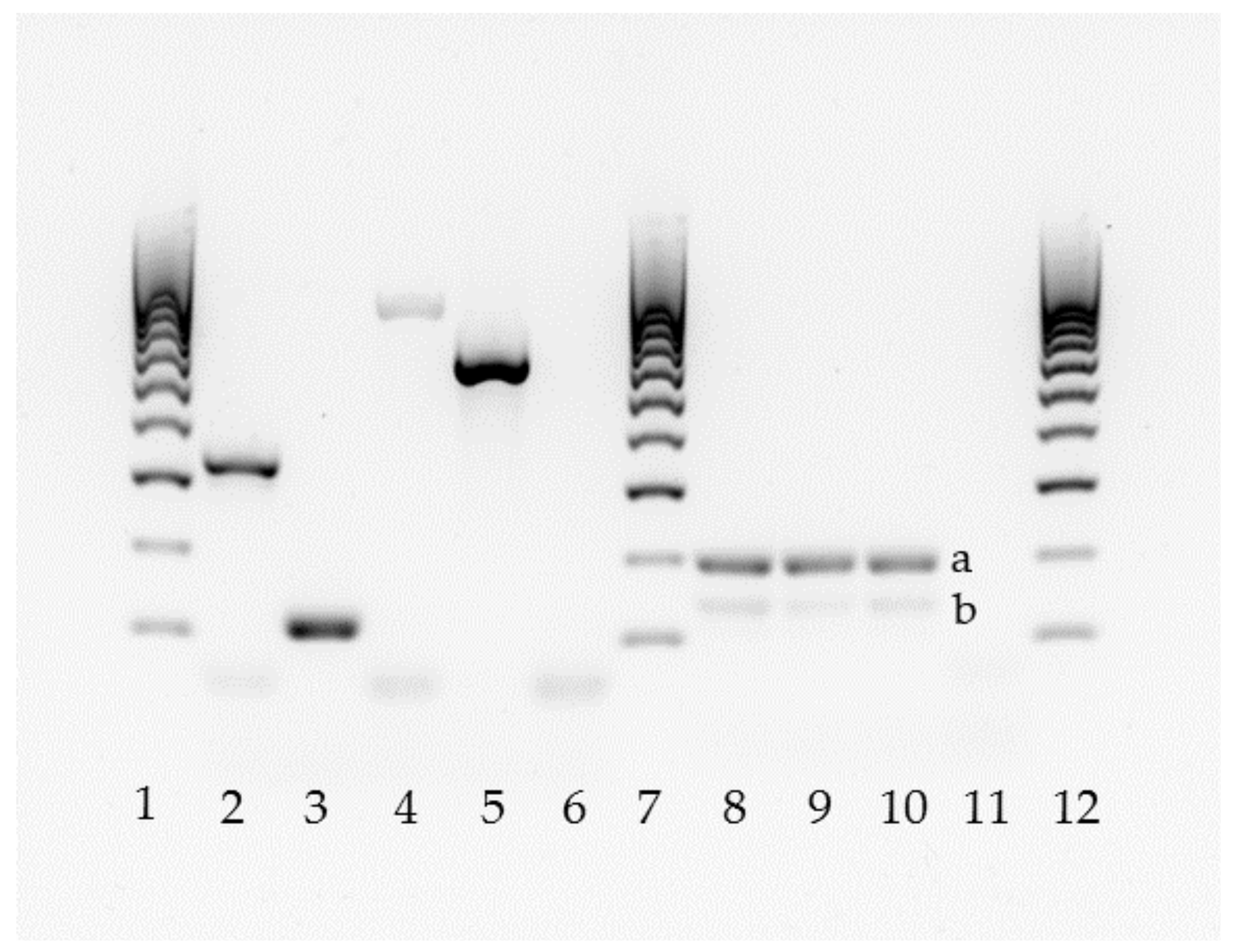 Jof 06 00374 g001 Jof 06 00374 g001