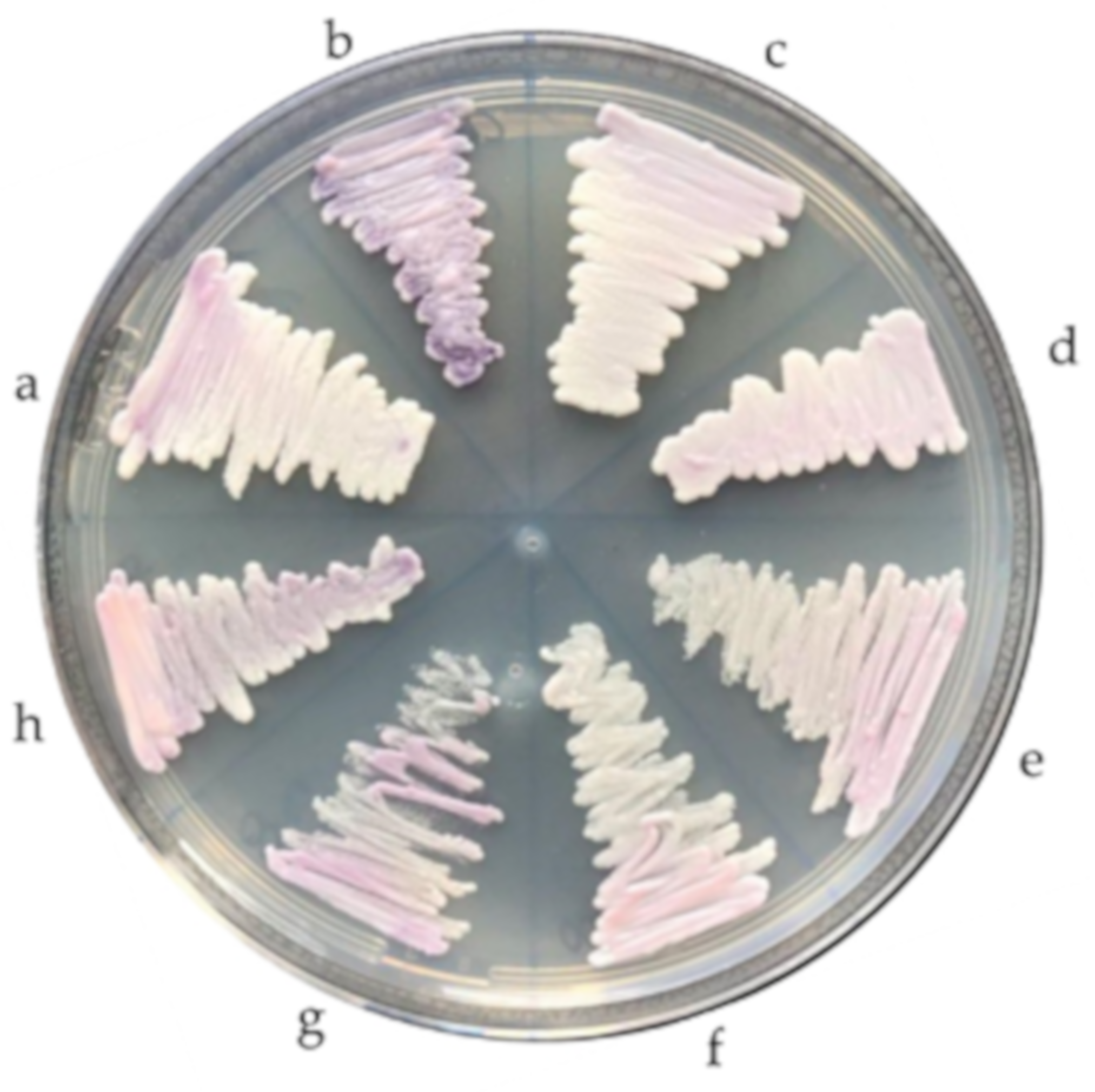 Jof 06 00374 g002 Jof 06 00374 g002