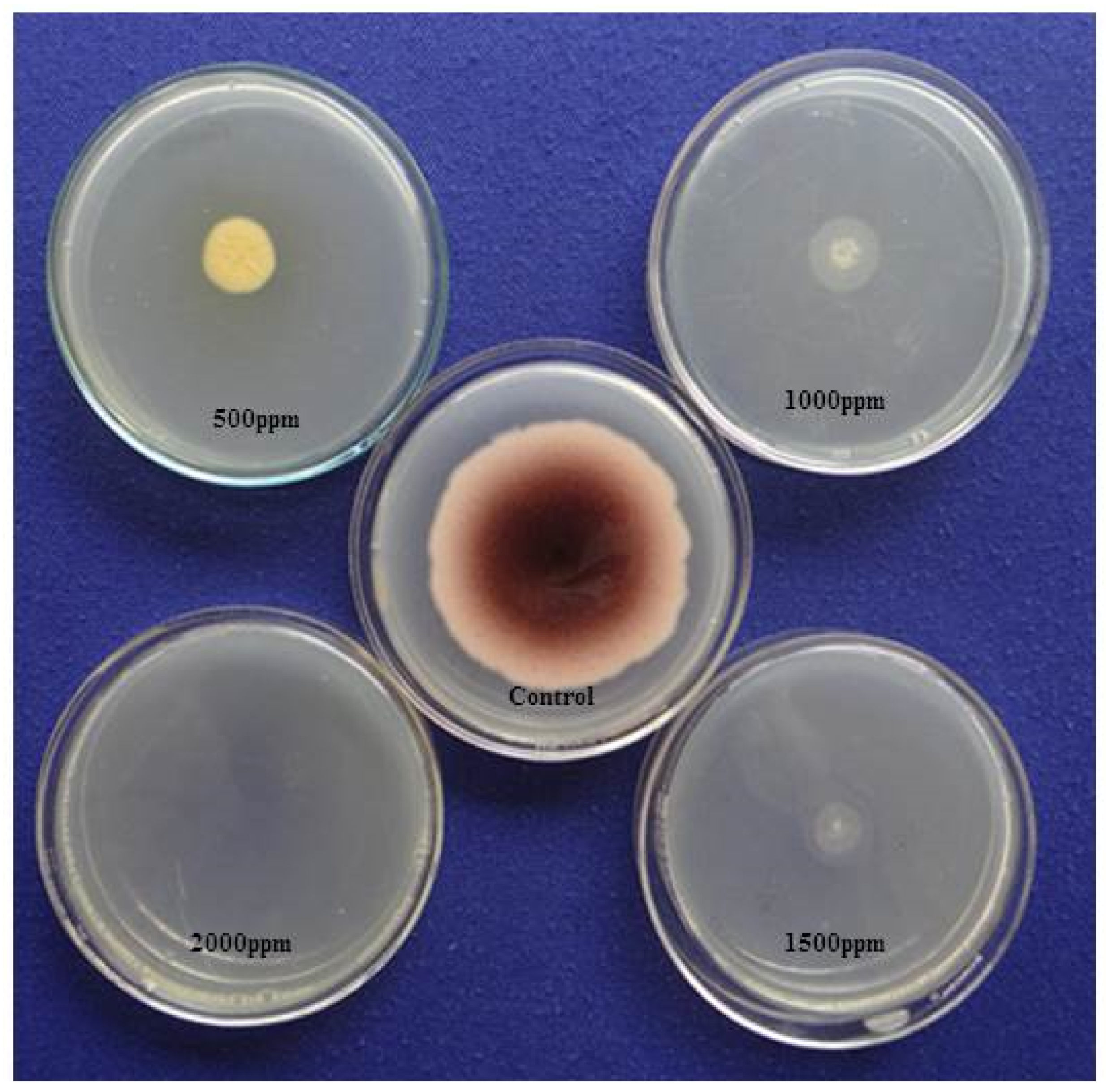 Jof 06 00383 g004 Jof 06 00383 g004