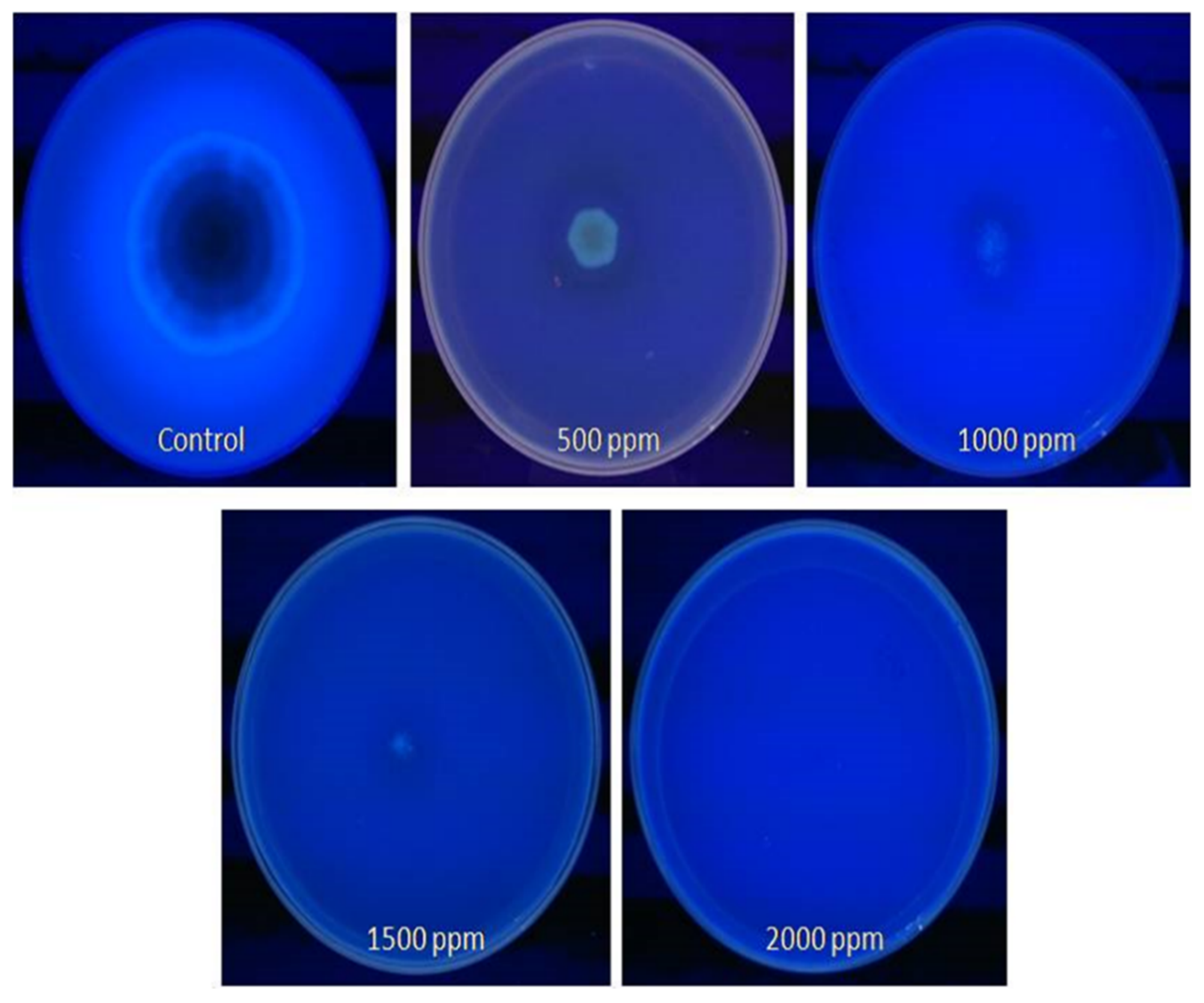 Jof 06 00383 g005 Jof 06 00383 g005