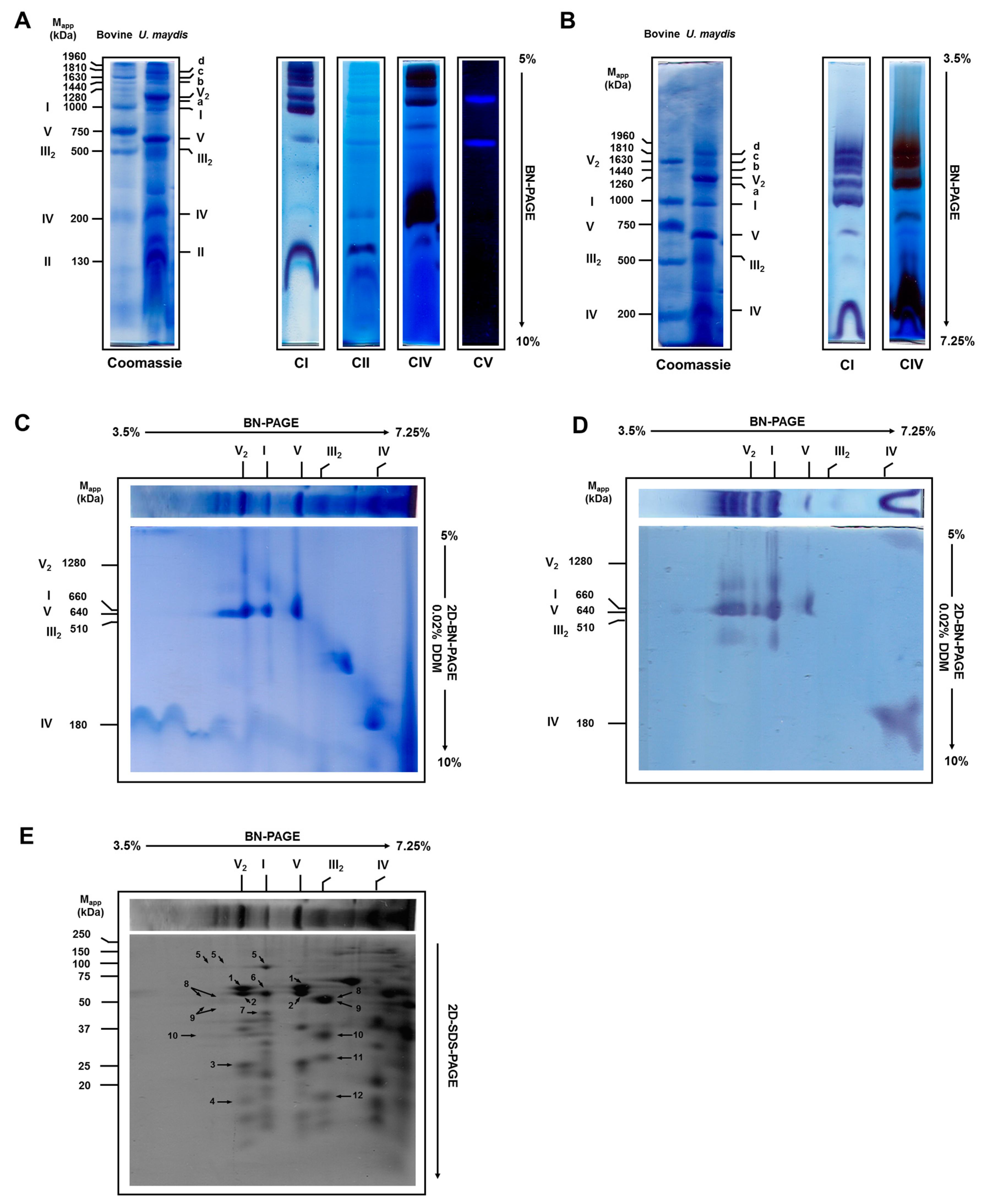 Jof 07 00042 g002 Jof 07 00042 g002