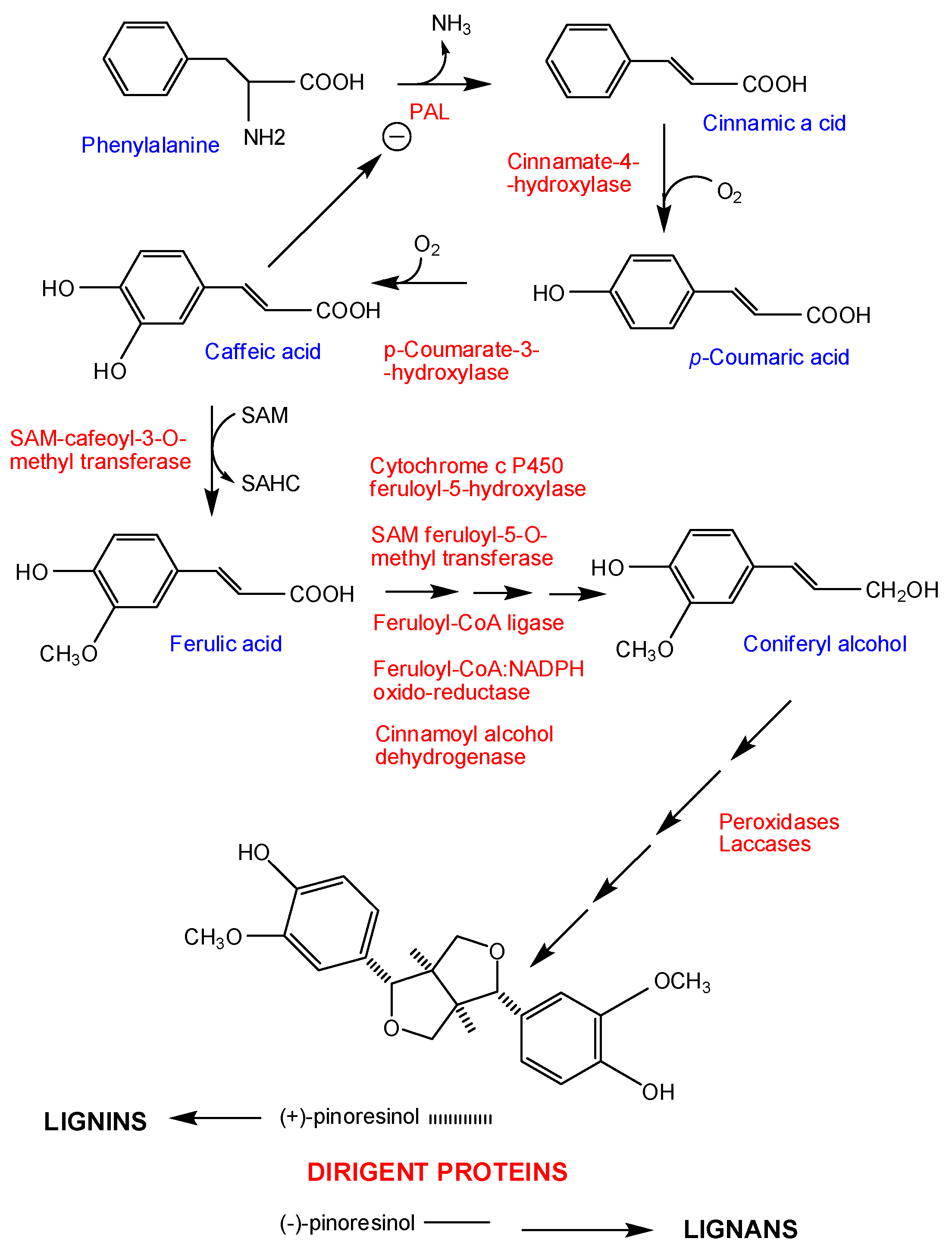 Jof 07 00044 g004 Jof 07 00044 g004