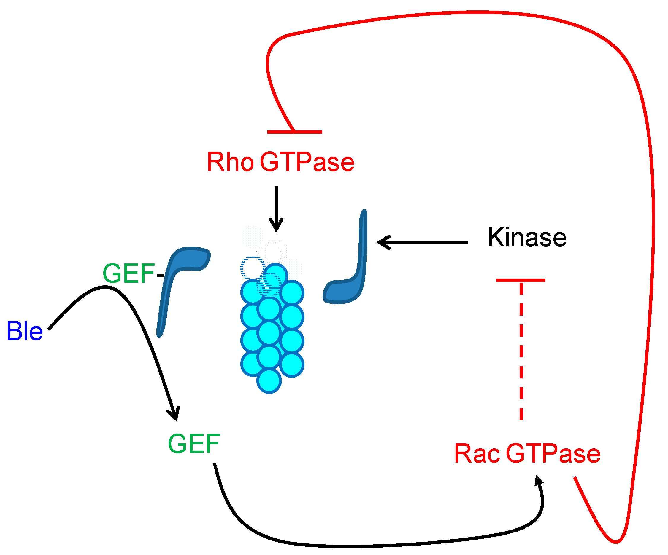Jof 07 00044 g009 Jof 07 00044 g009