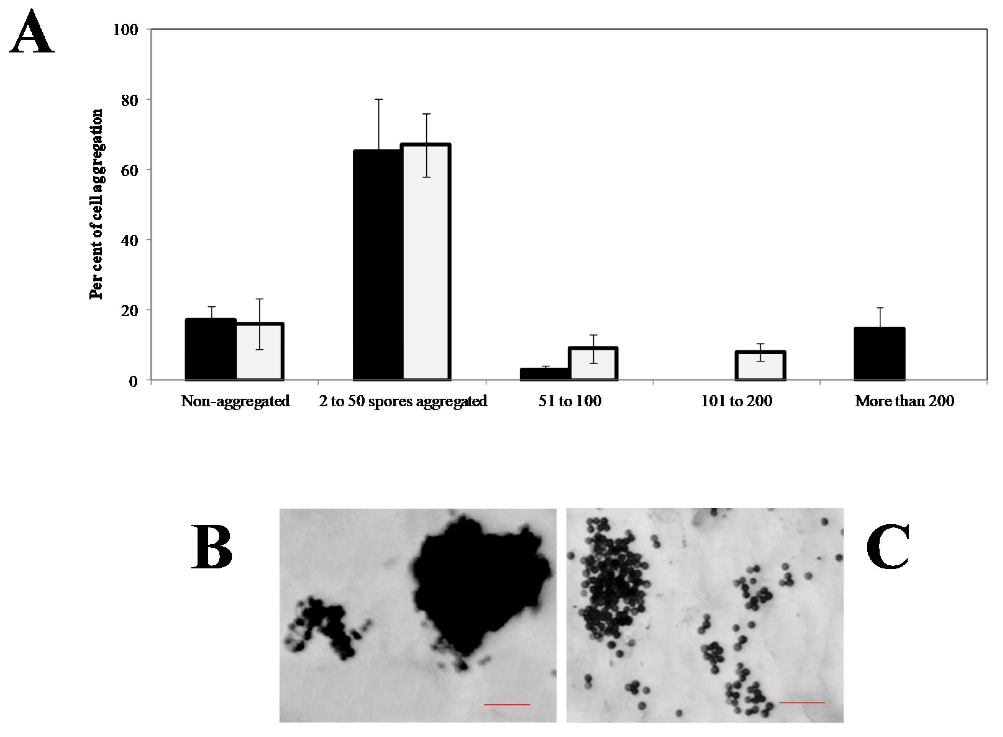 Jof 07 00044 g011 Jof 07 00044 g011