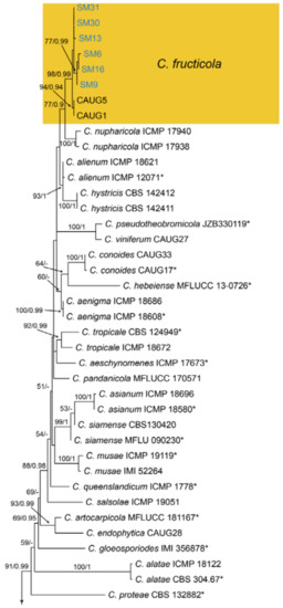 Jof 07 00064 g0a13a Jof 07 00064 g0a13a