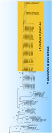 Jof 07 00064 g0a3a Jof 07 00064 g0a3a