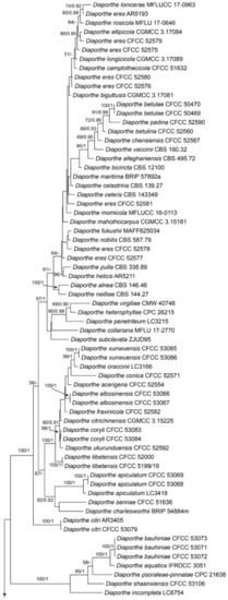 Jof 07 00064 g0a9a Jof 07 00064 g0a9a