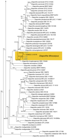 Jof 07 00064 g0a9b Jof 07 00064 g0a9b