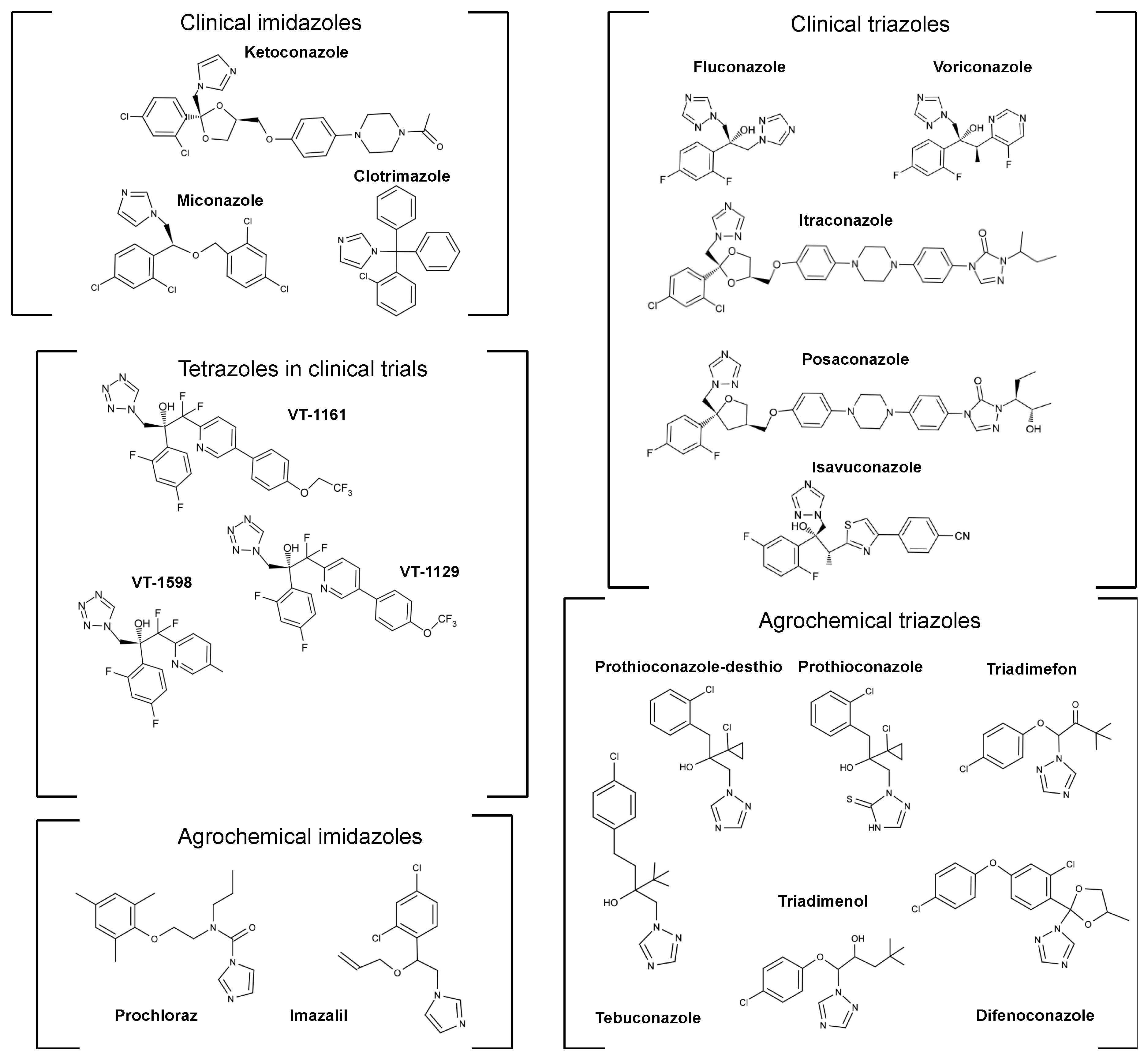 Jof 07 00067 g001 Jof 07 00067 g001