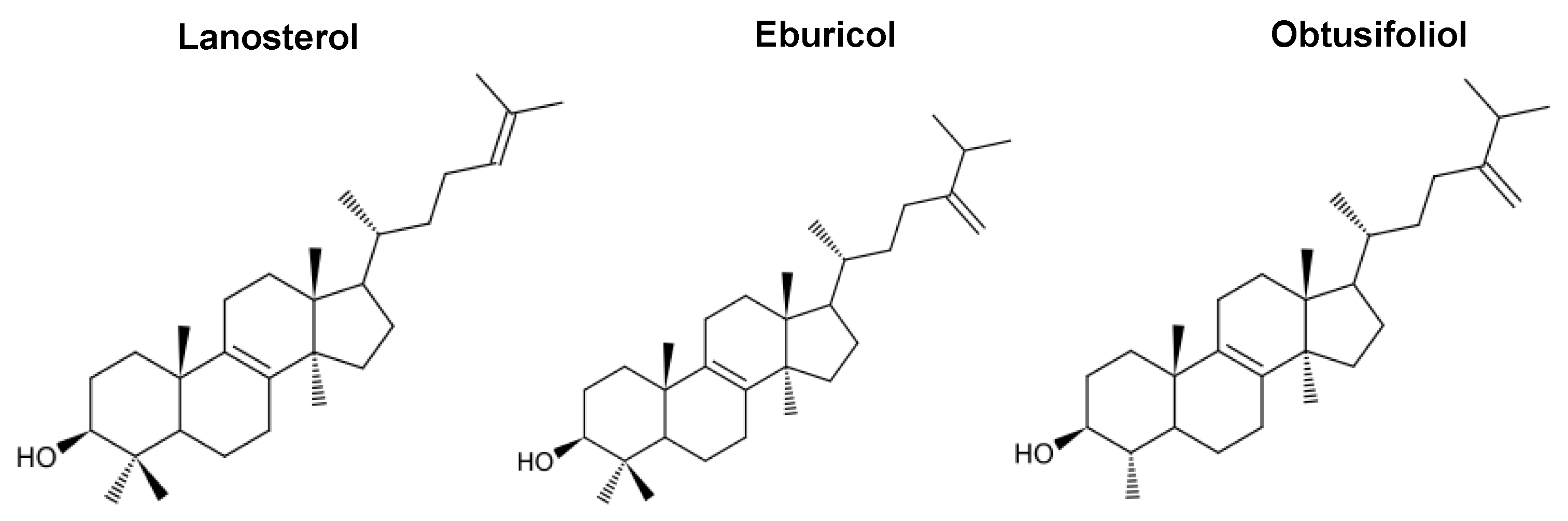 Jof 07 00067 g003 Jof 07 00067 g003