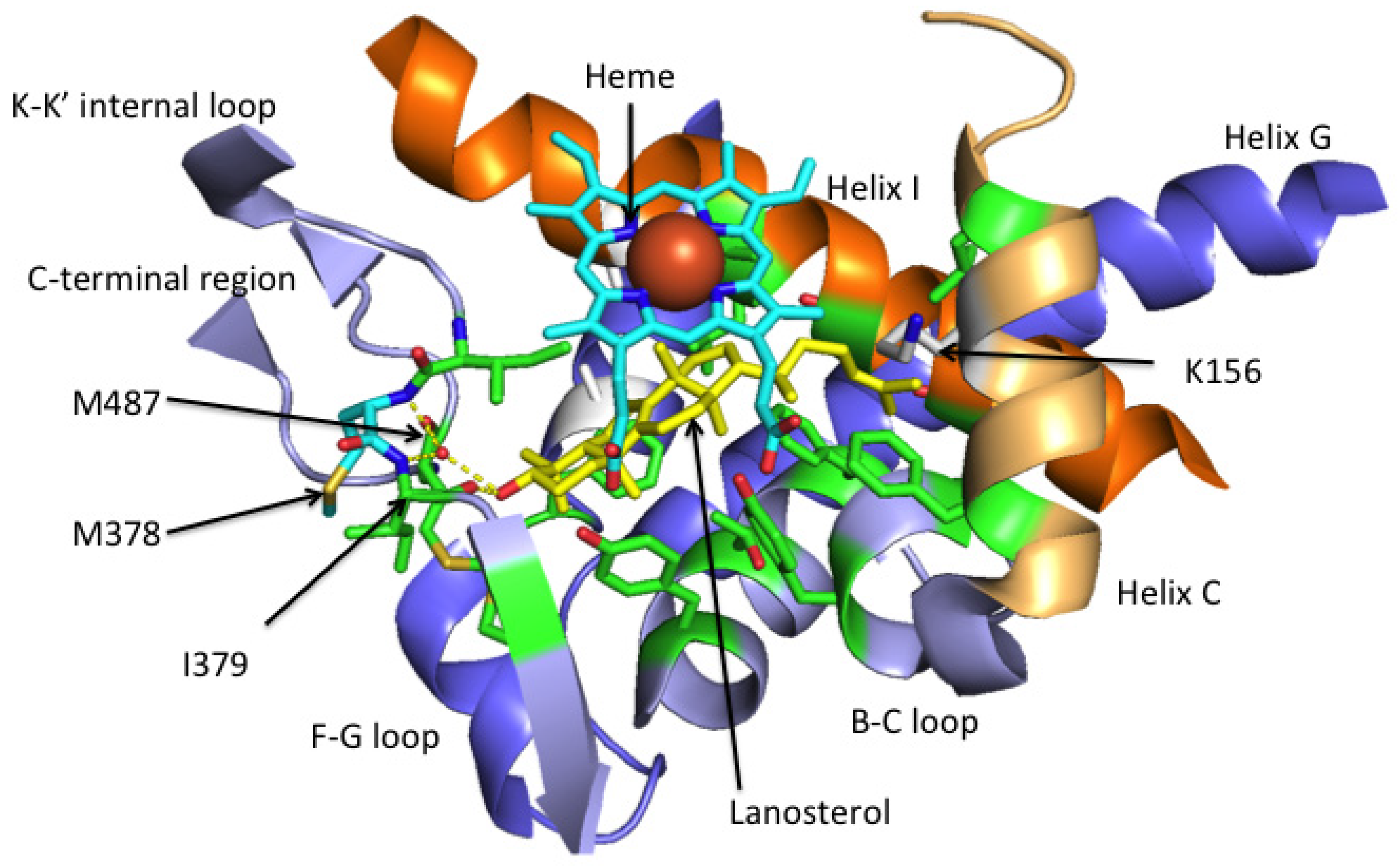 Jof 07 00067 g004 Jof 07 00067 g004