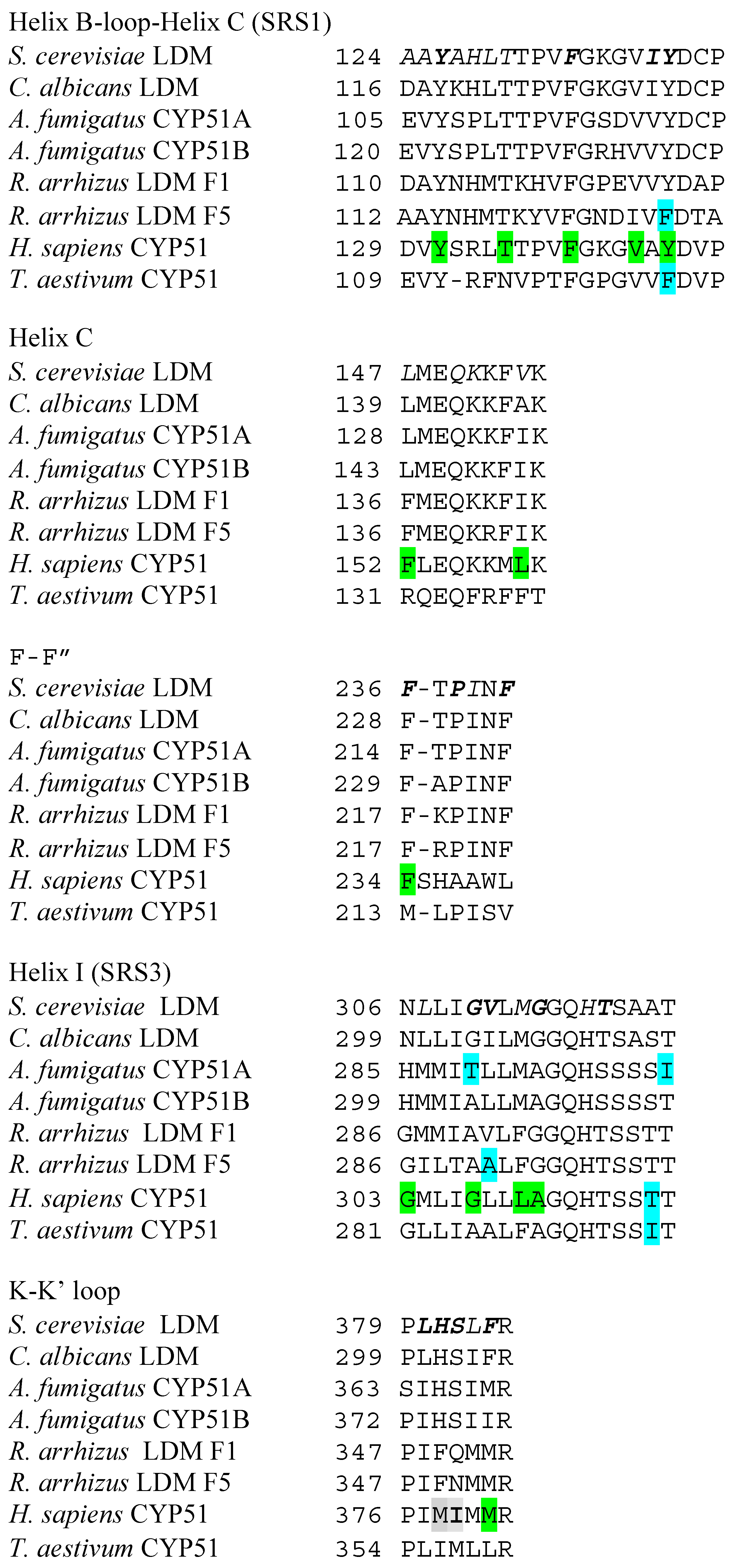 Jof 07 00067 g005a Jof 07 00067 g005a
