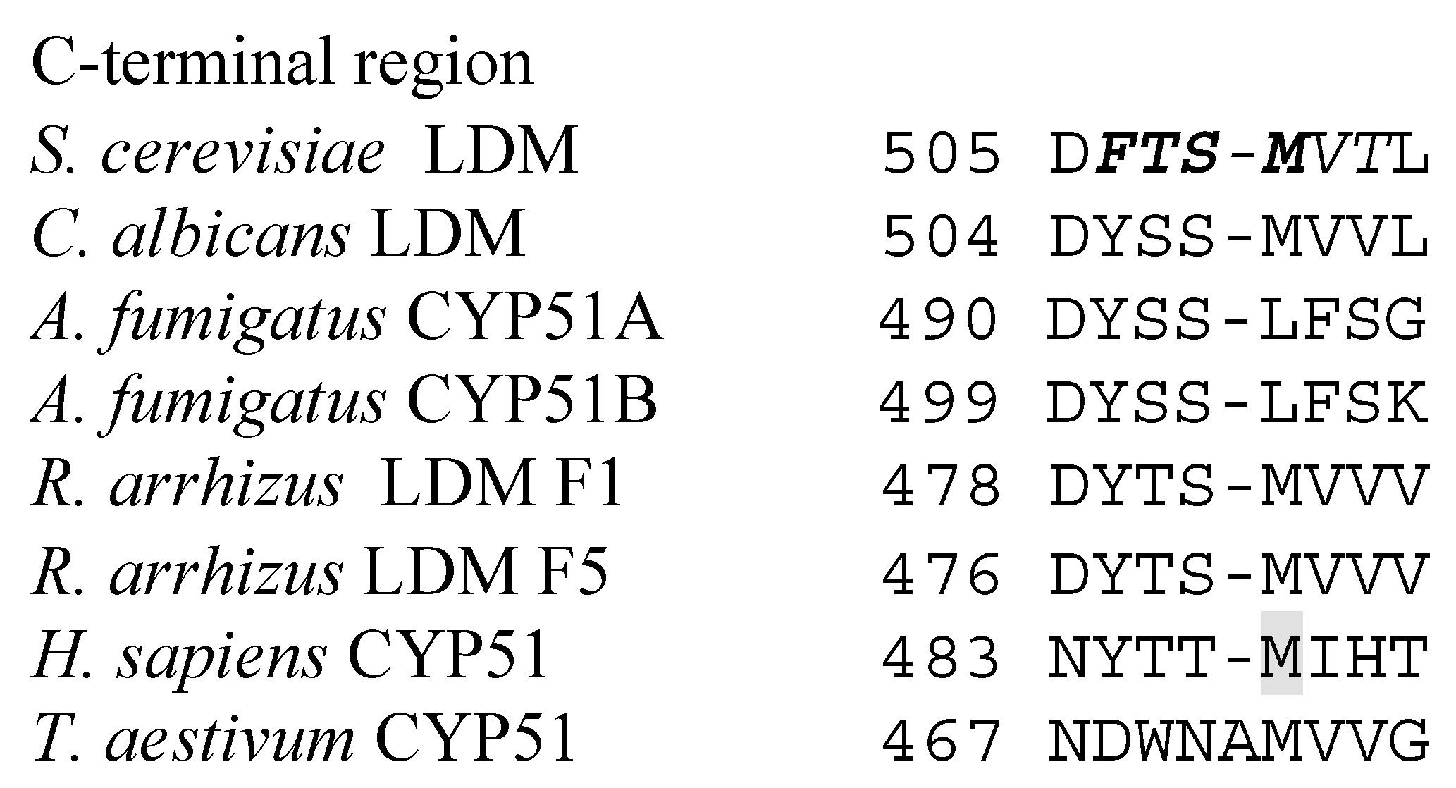 Jof 07 00067 g005b Jof 07 00067 g005b
