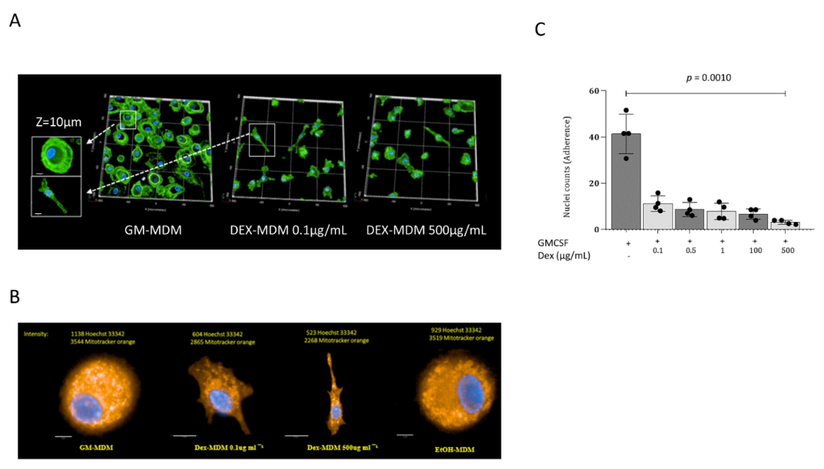 Jof 07 00070 g001 Jof 07 00070 g001