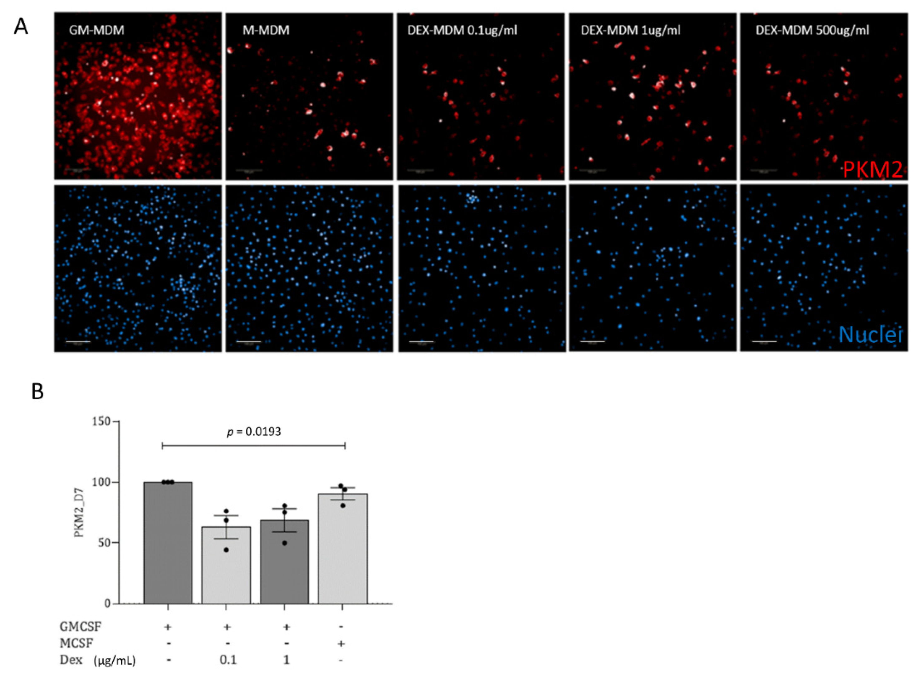 Jof 07 00070 g004 Jof 07 00070 g004