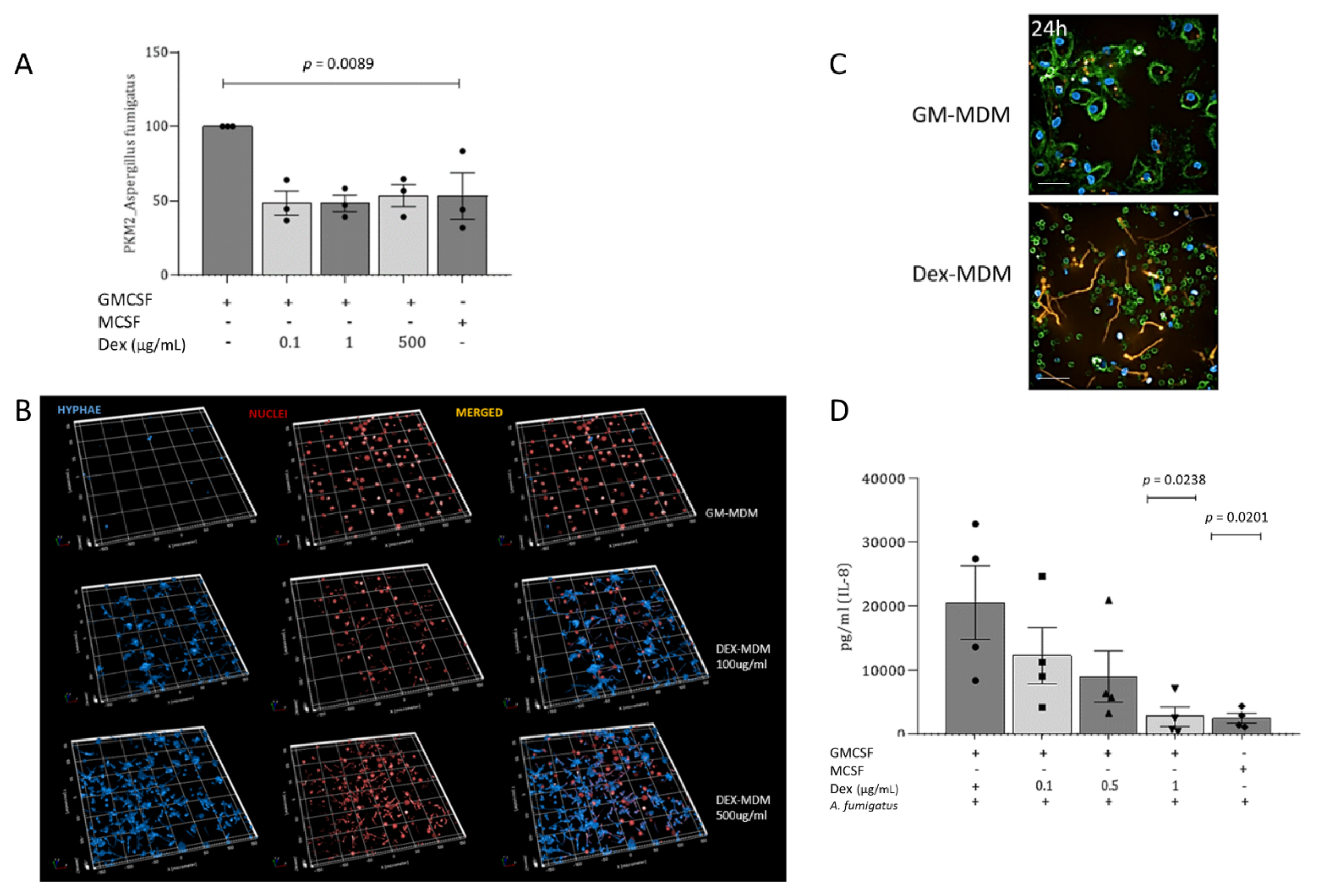 Jof 07 00070 g005 Jof 07 00070 g005