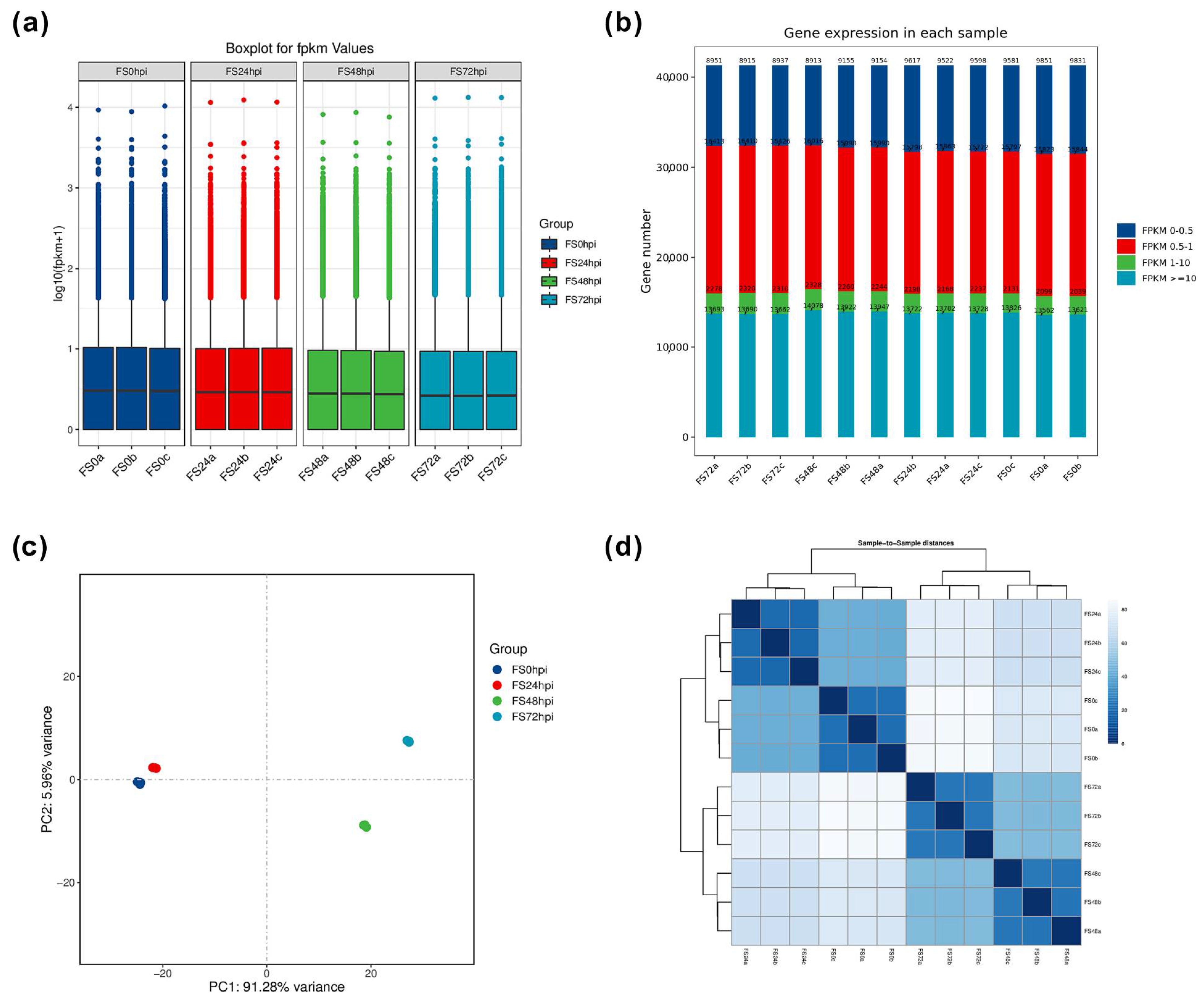 Jof 07 00089 g002 Jof 07 00089 g002
