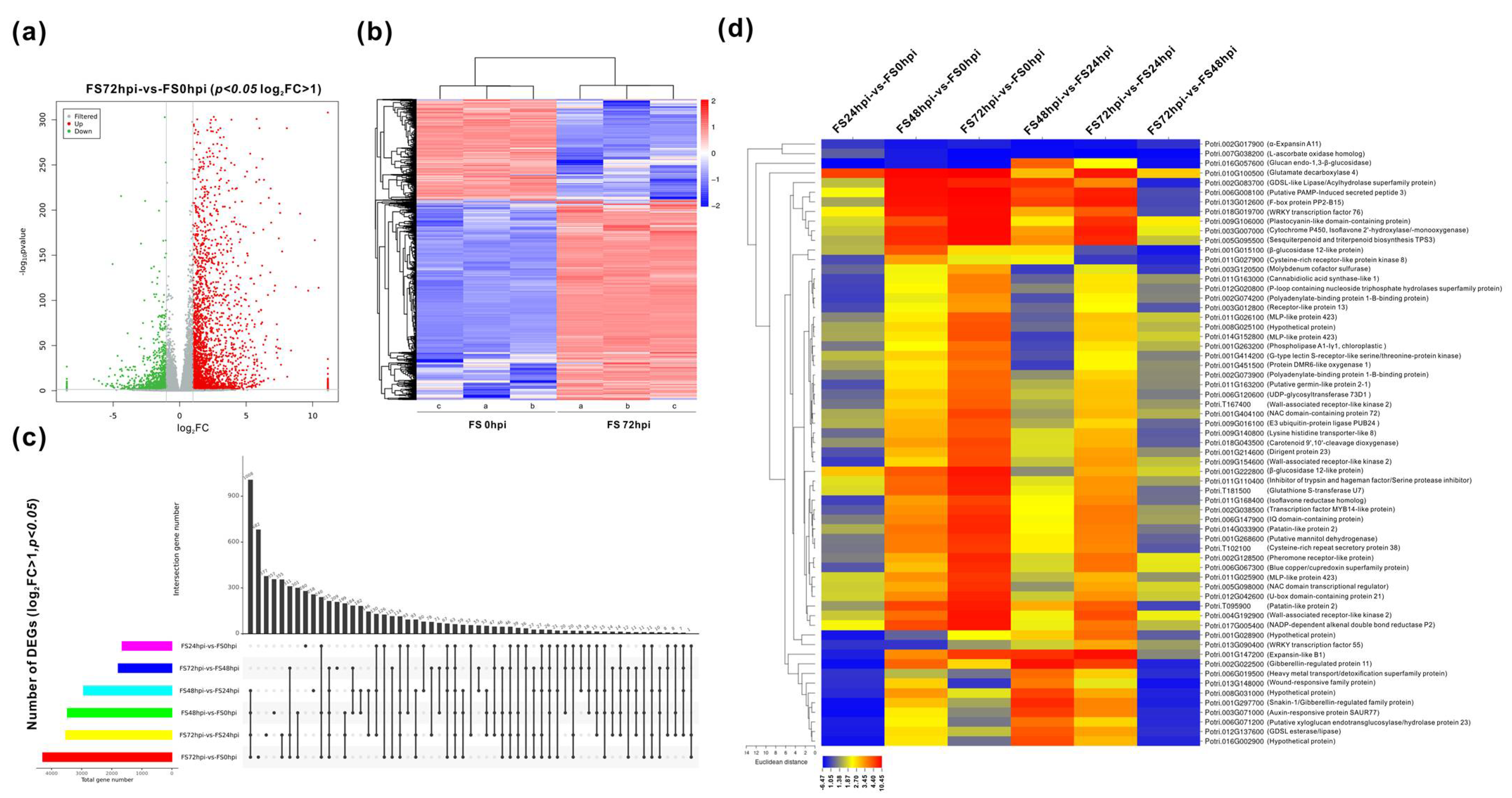 Jof 07 00089 g003 Jof 07 00089 g003