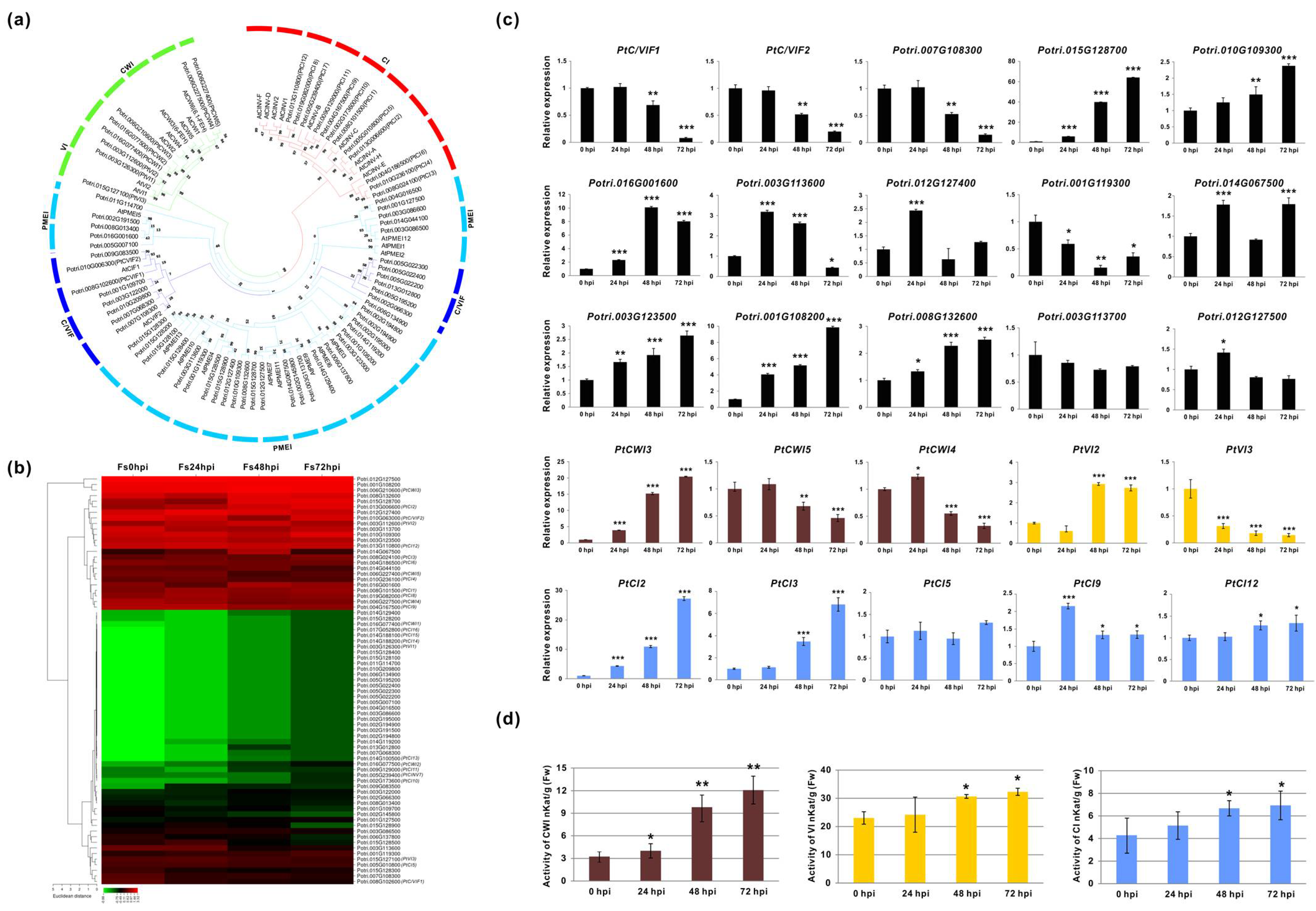 Jof 07 00089 g005 Jof 07 00089 g005