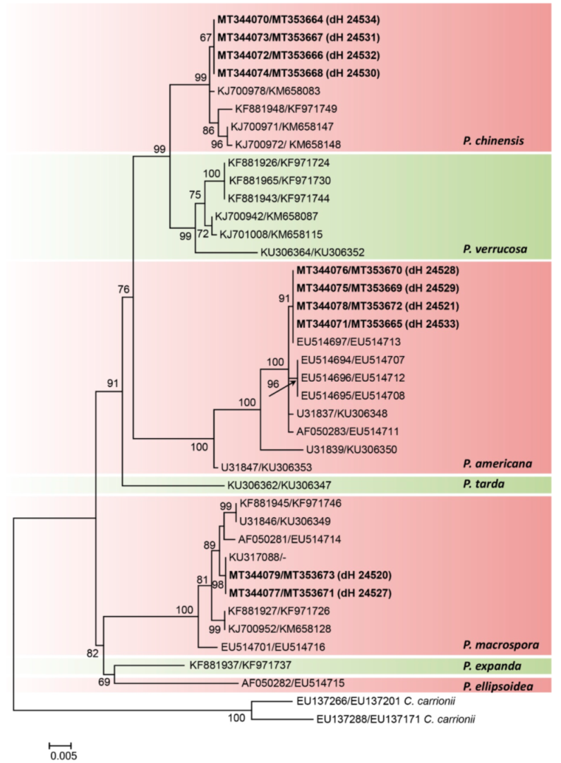 Jof 07 00095 g003 Jof 07 00095 g003