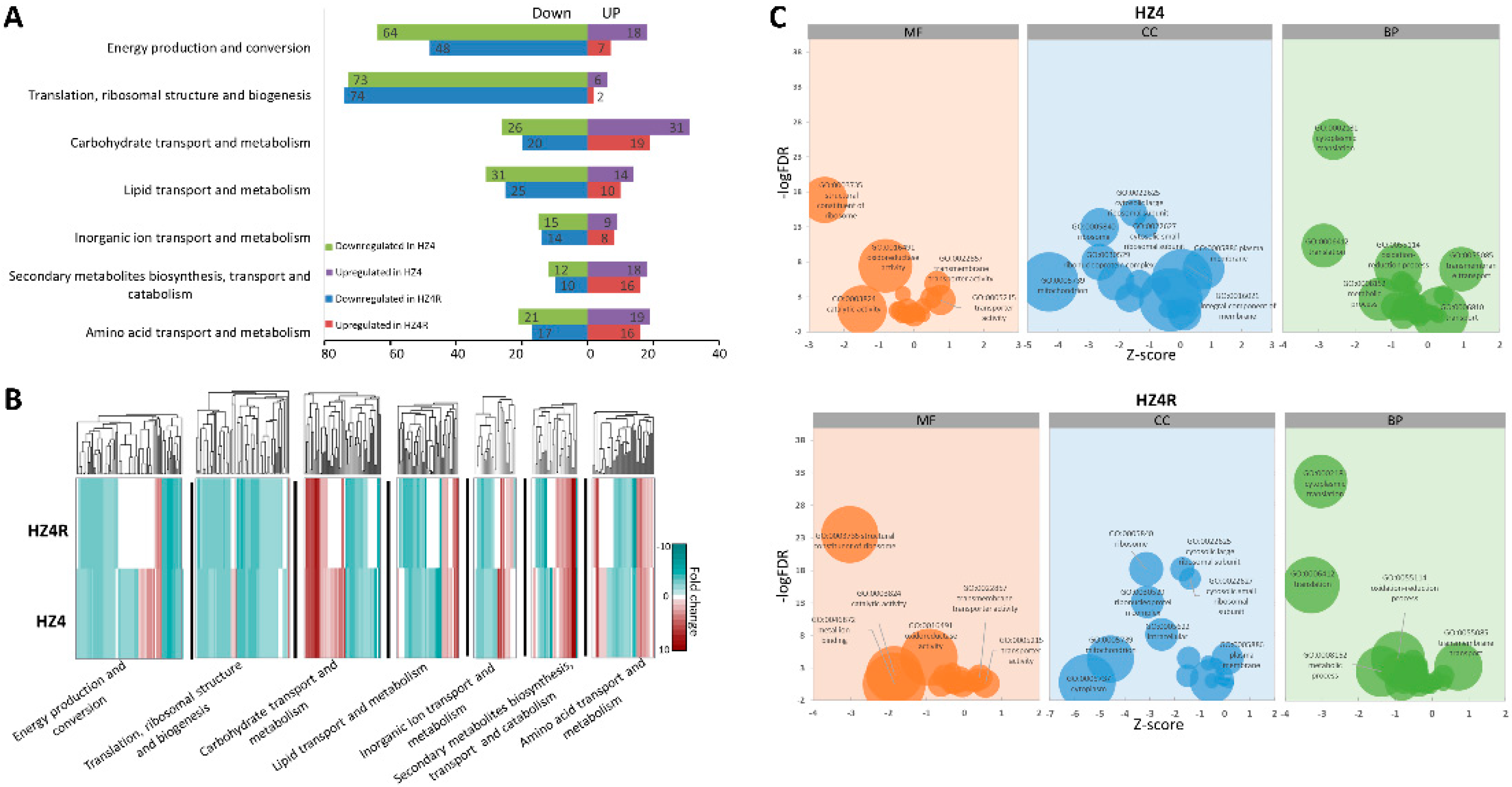 Jof 07 00150 g002 Jof 07 00150 g002